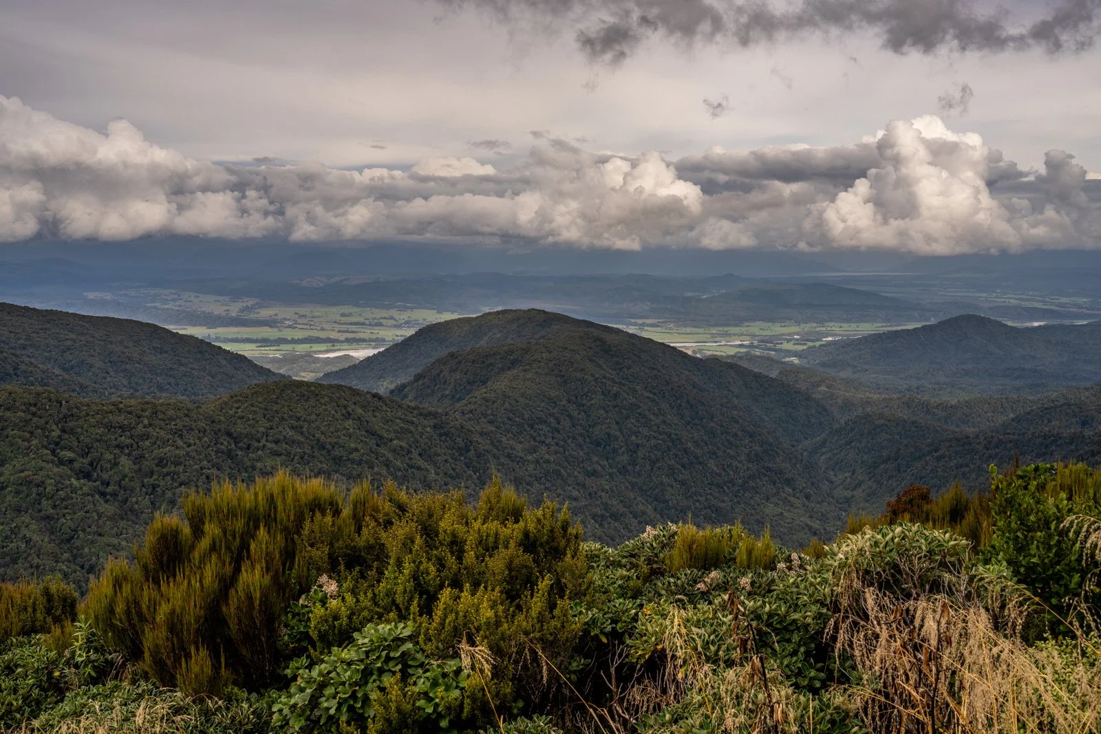 ces clark hut views paparoa