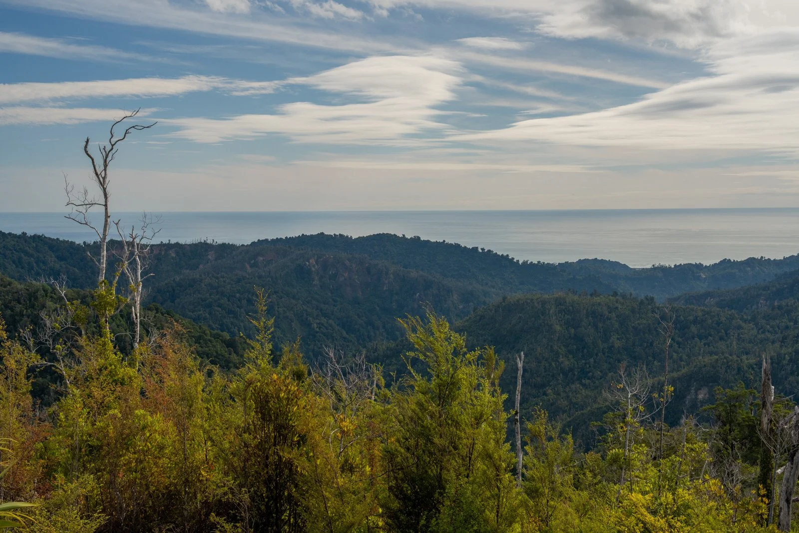 sea views pororari hut paparoa