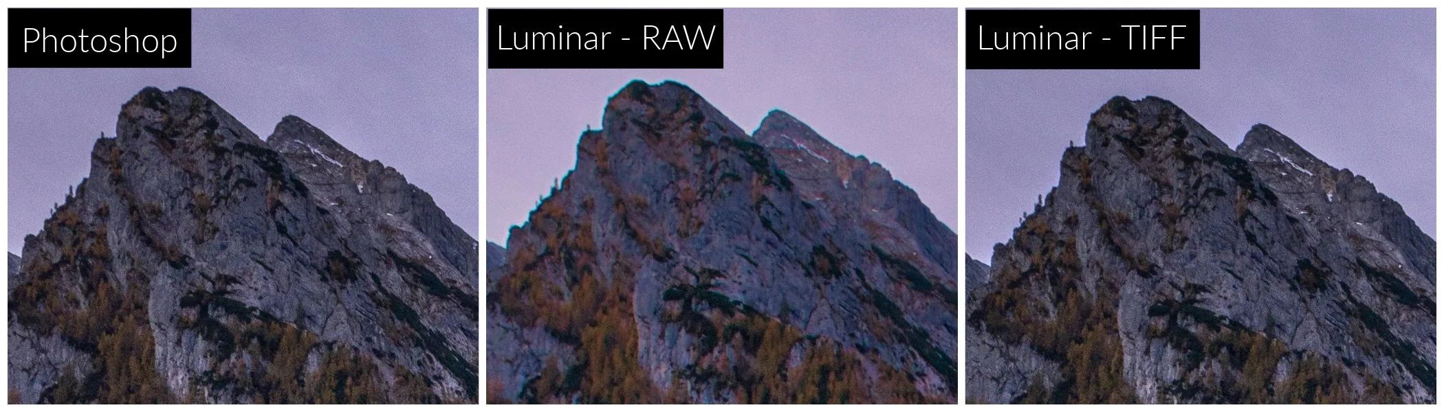 focus stack result photoshop luminar