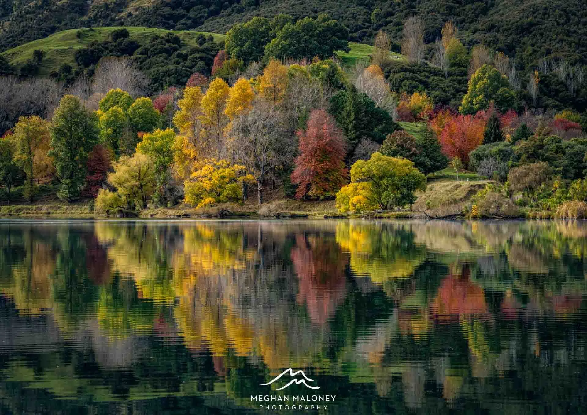 Autumn Colour Lake Tutira