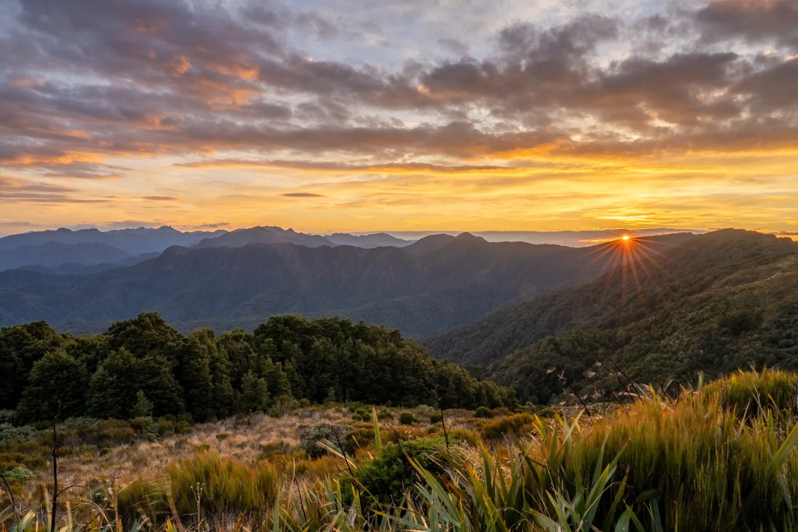 moonlight tops hut sunrise paparoa track