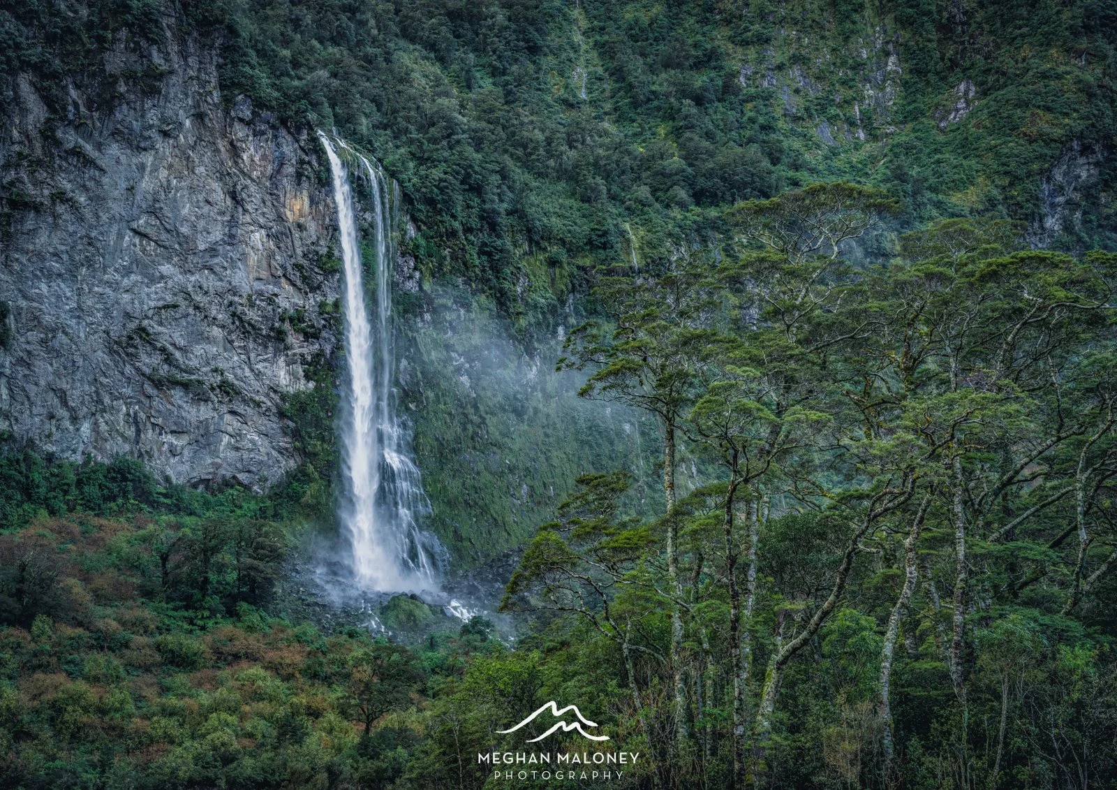 Campbells Kingdom Fiordland