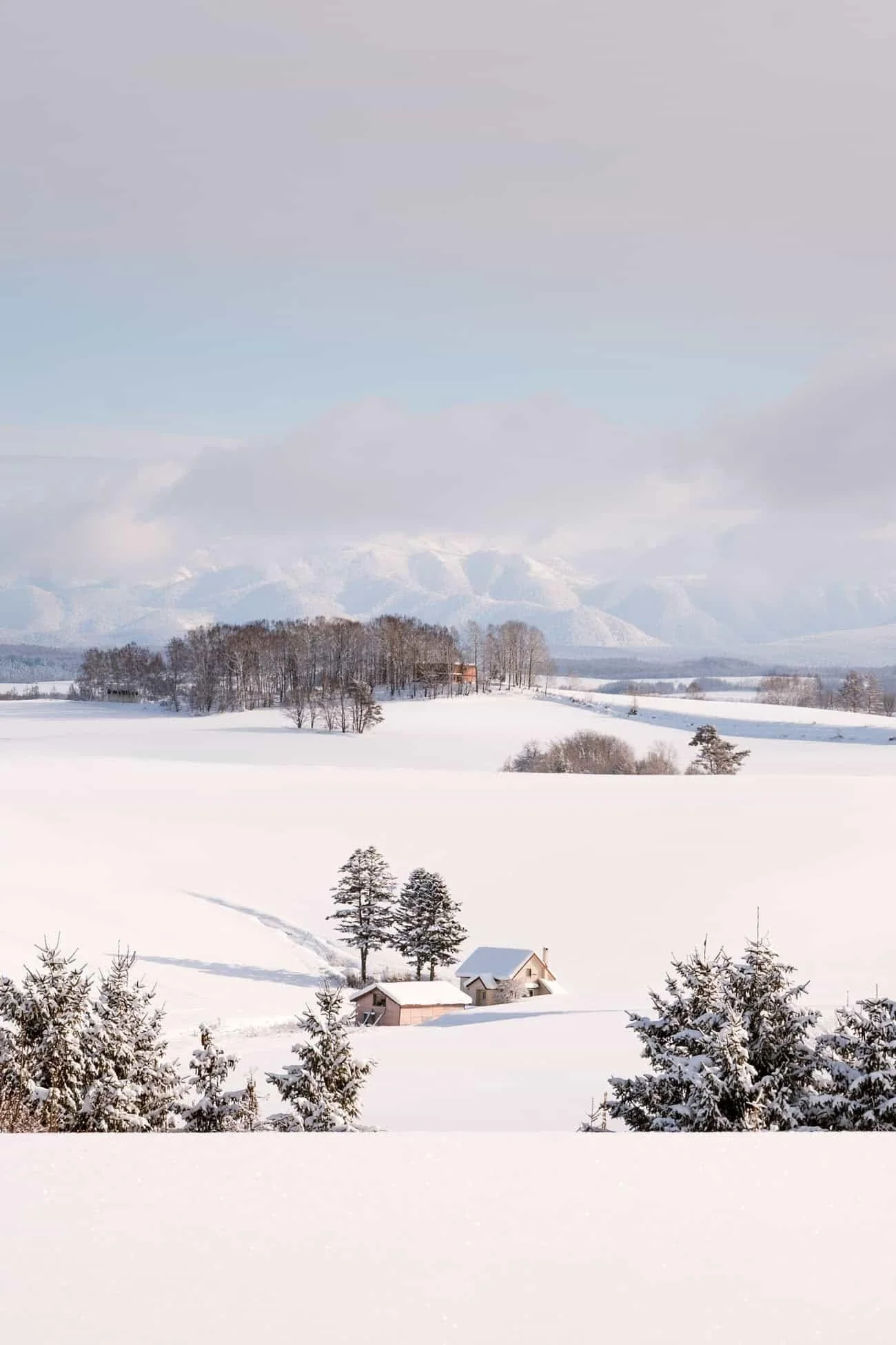 hokkaido winter landscapes