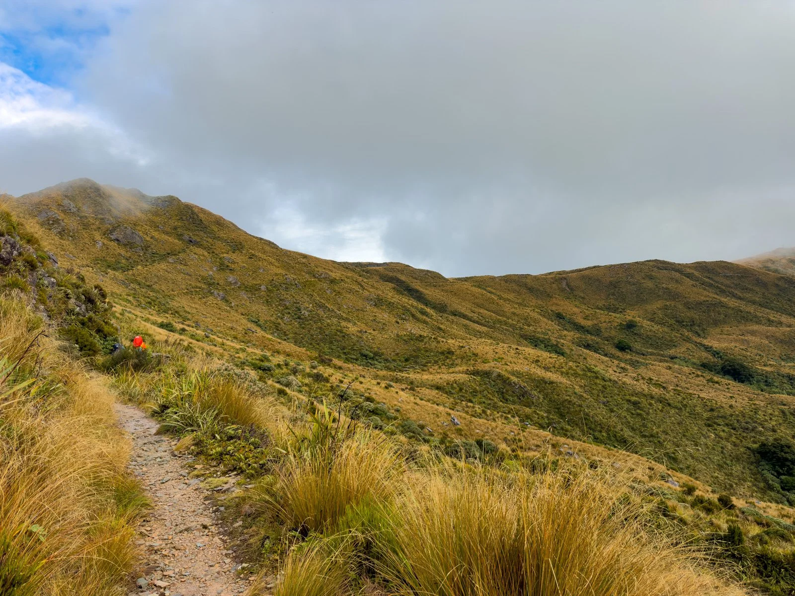paparoa track day 2 ridges