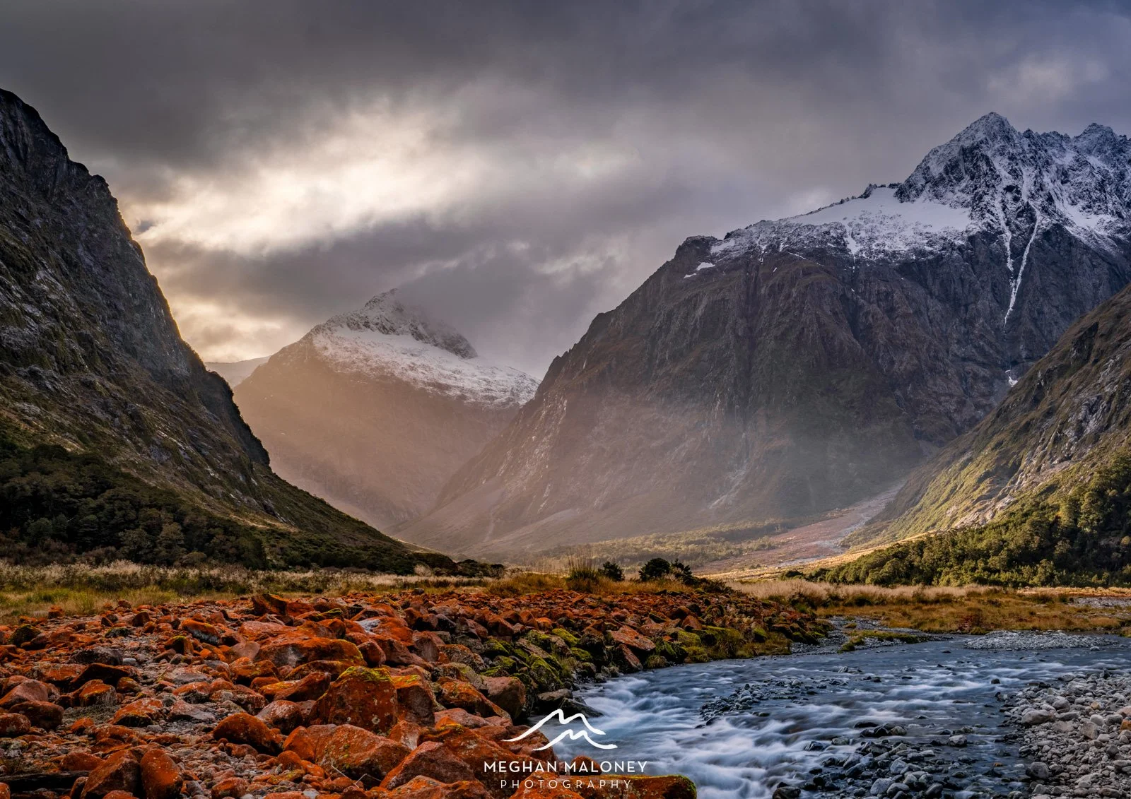 Monkey Creek Golden Light