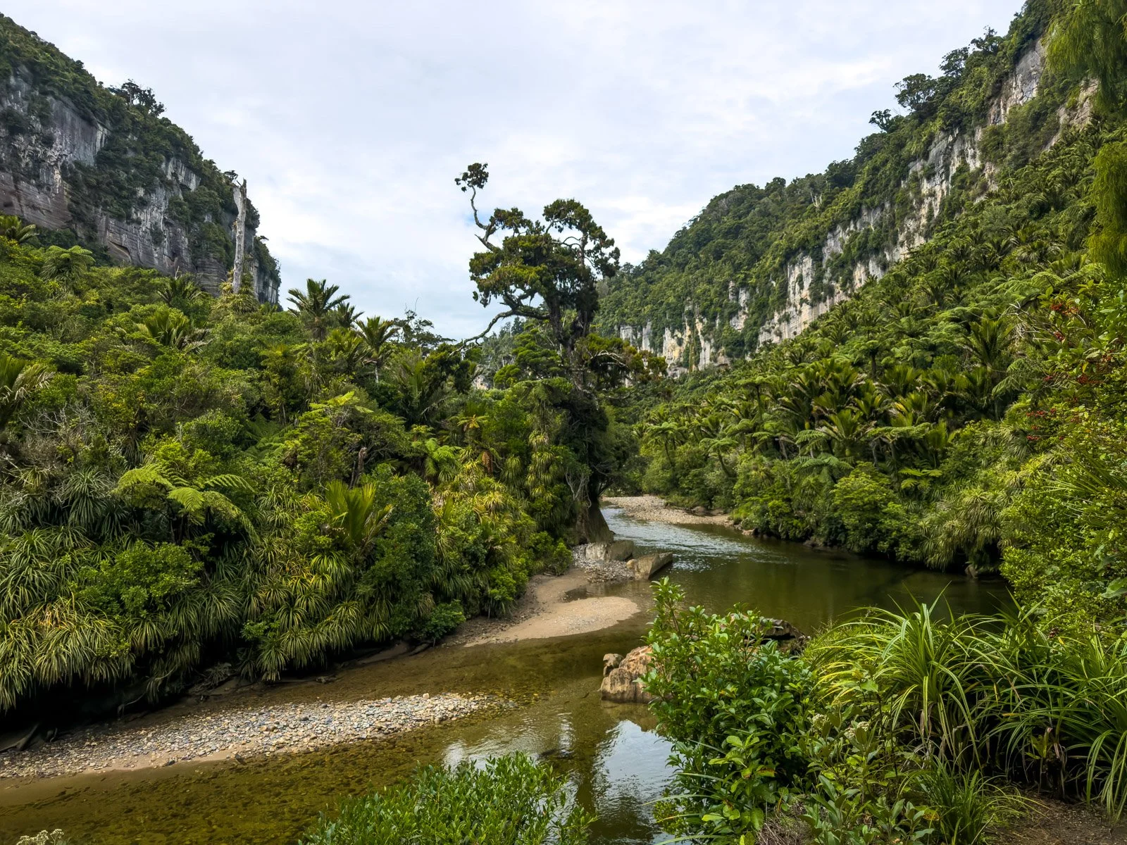 pororari river viewpoint day 4 paparoa
