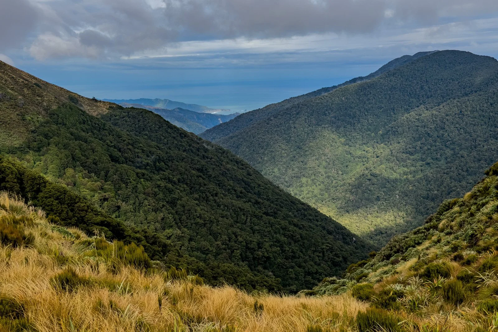 west coast views paparoa track day 2