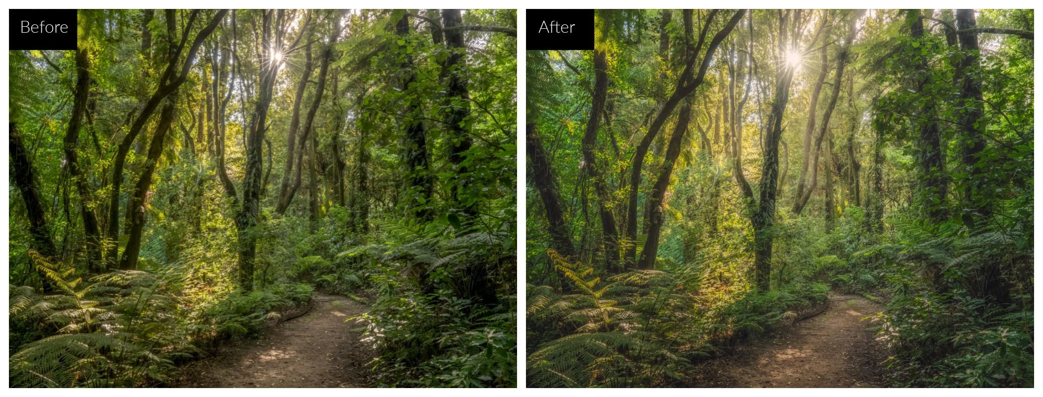 before and after luminar tools