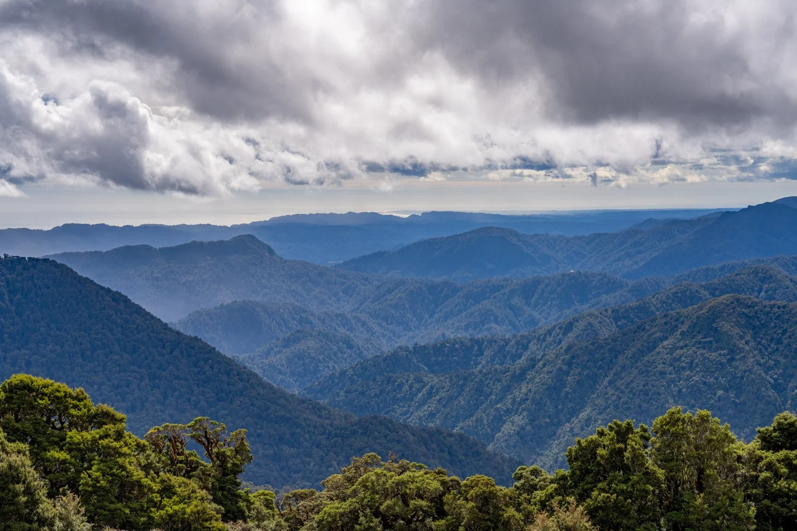moonlight tops to pororari hut view