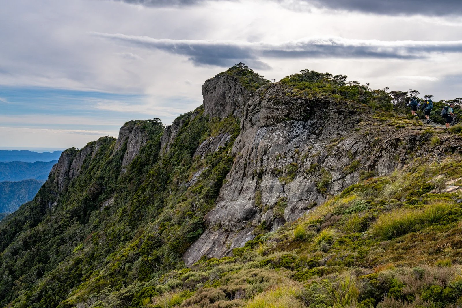 paparoa track escarpment cliffs