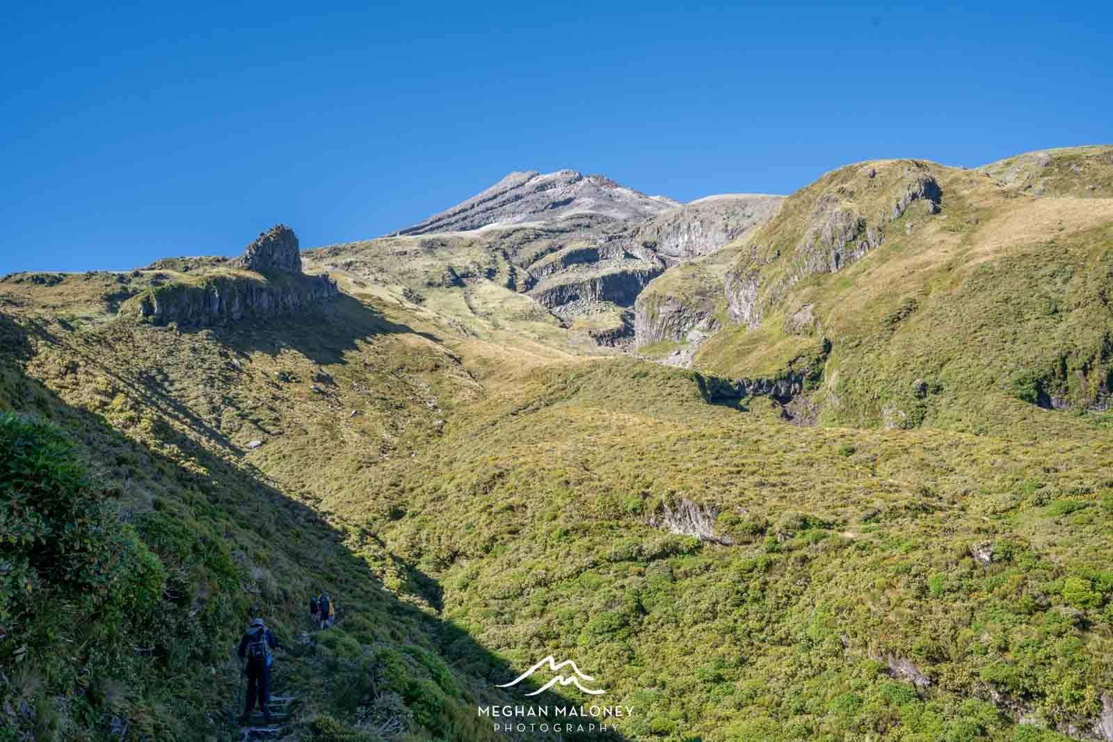 pouakai circuit hike