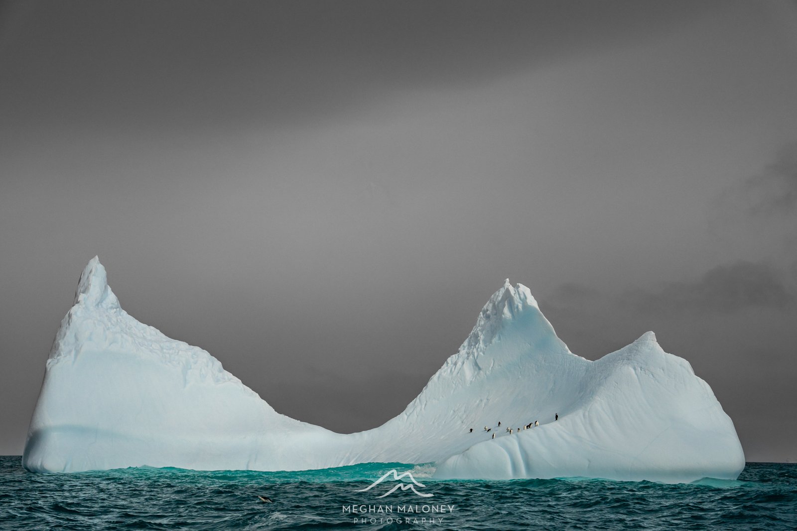 grey antartica ice