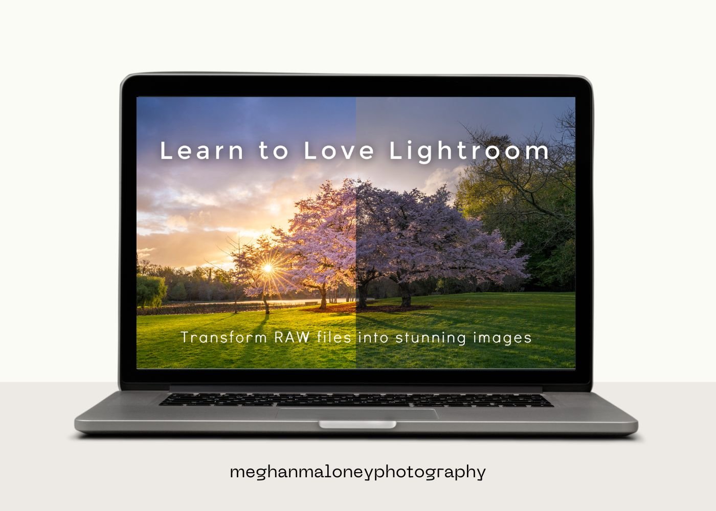 Learn to Love Lightroom Online Course