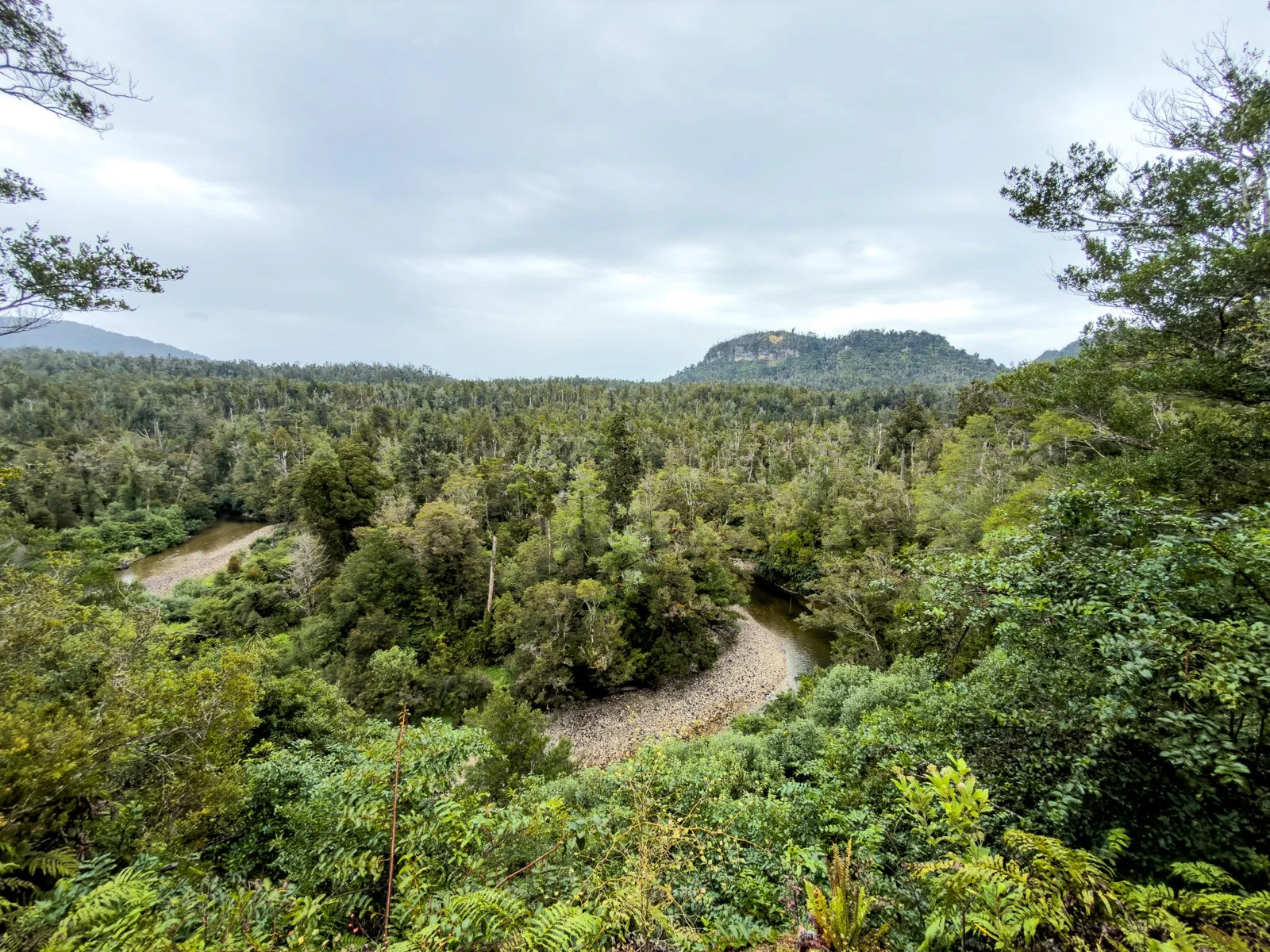 horseshoe bend pororari river paparoa track