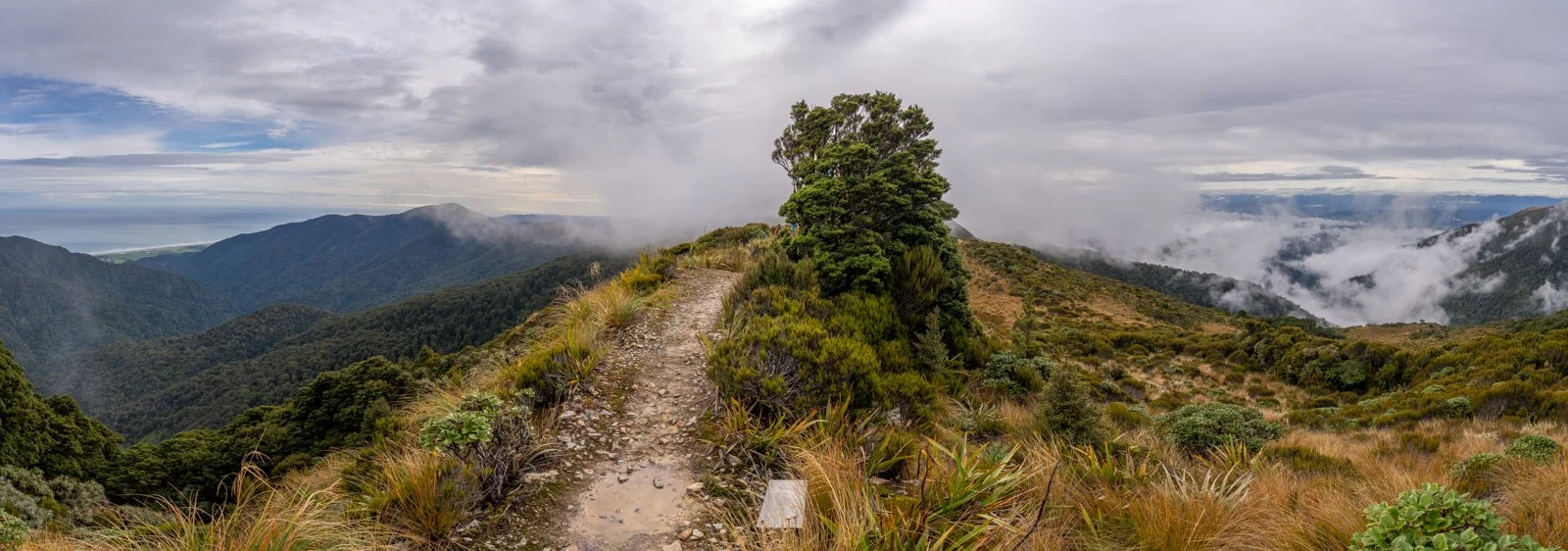 paparoa track views inland barrytown