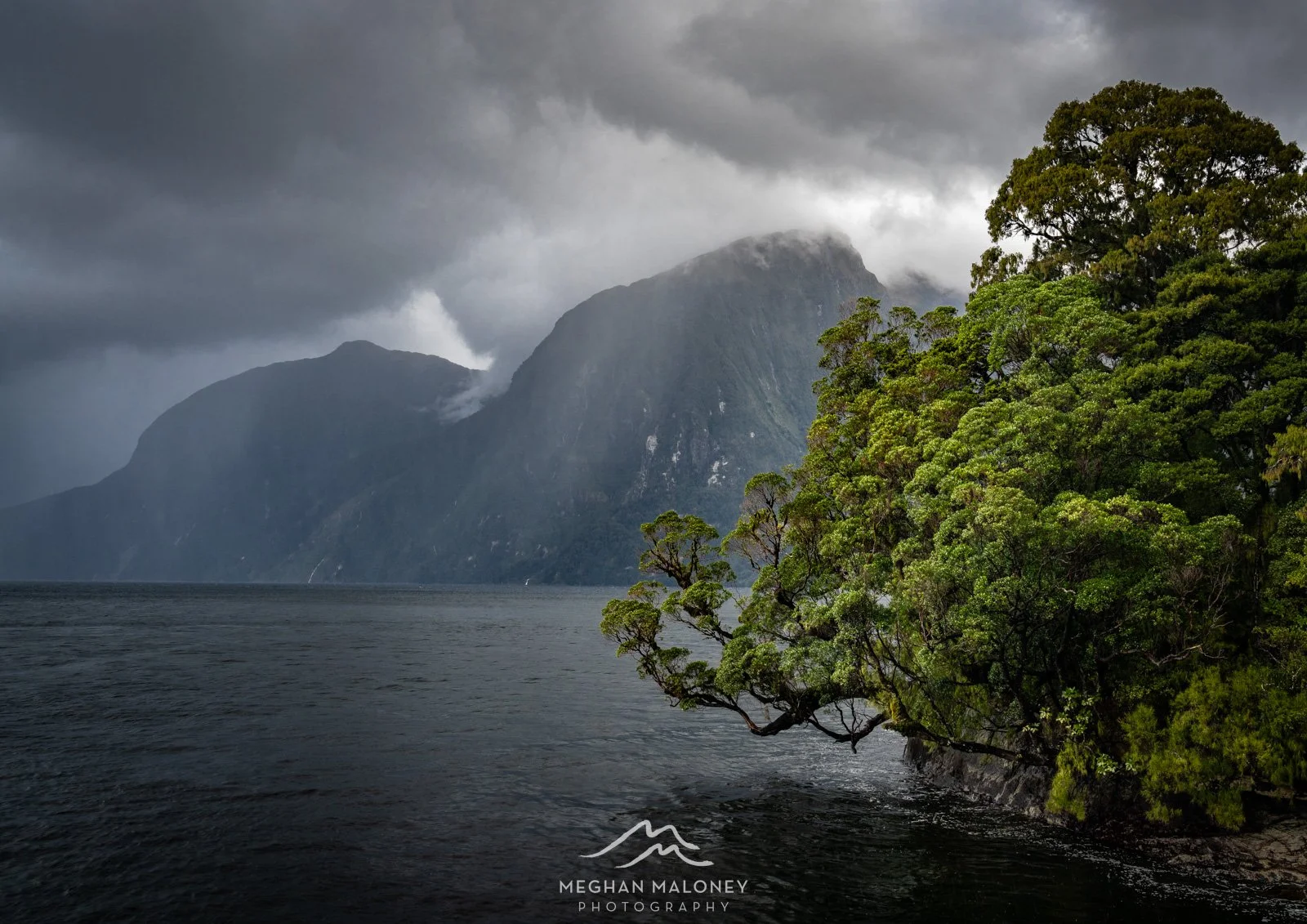 Doubtful Sound Forest & Mountains