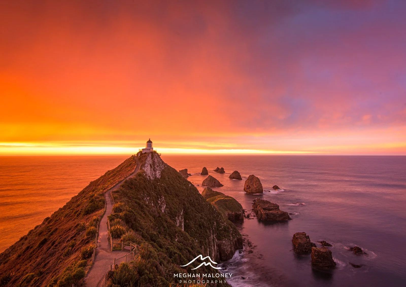Nugget Point Intense Sunrise
