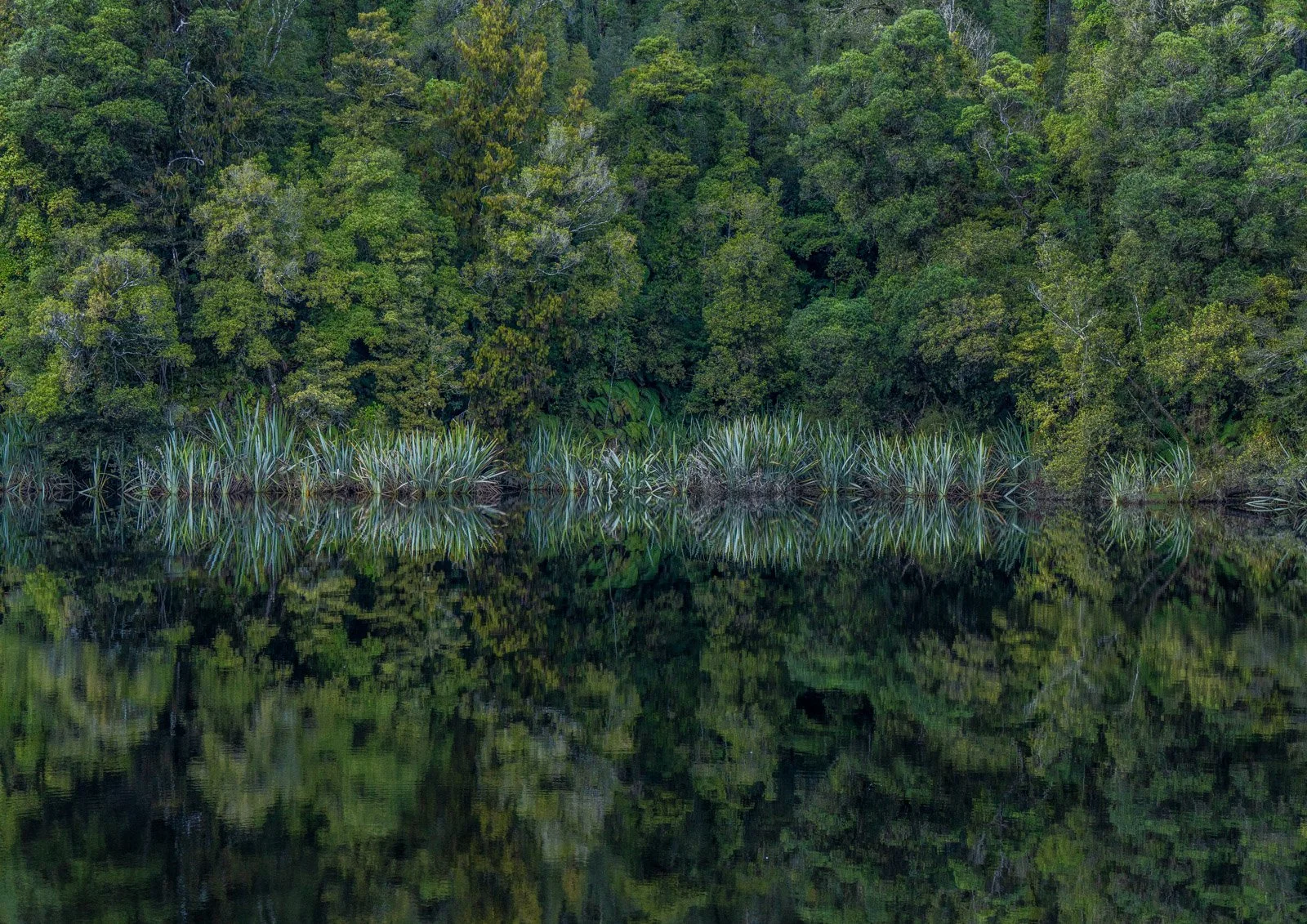 _DSC9876.jpg
