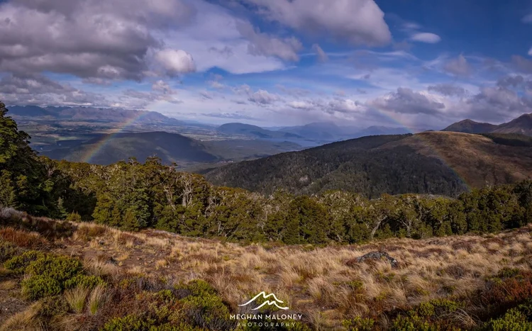 Kepler Track Ridge The Kepler Track: NZ Great Walk | The 45km Better, Shorter Version