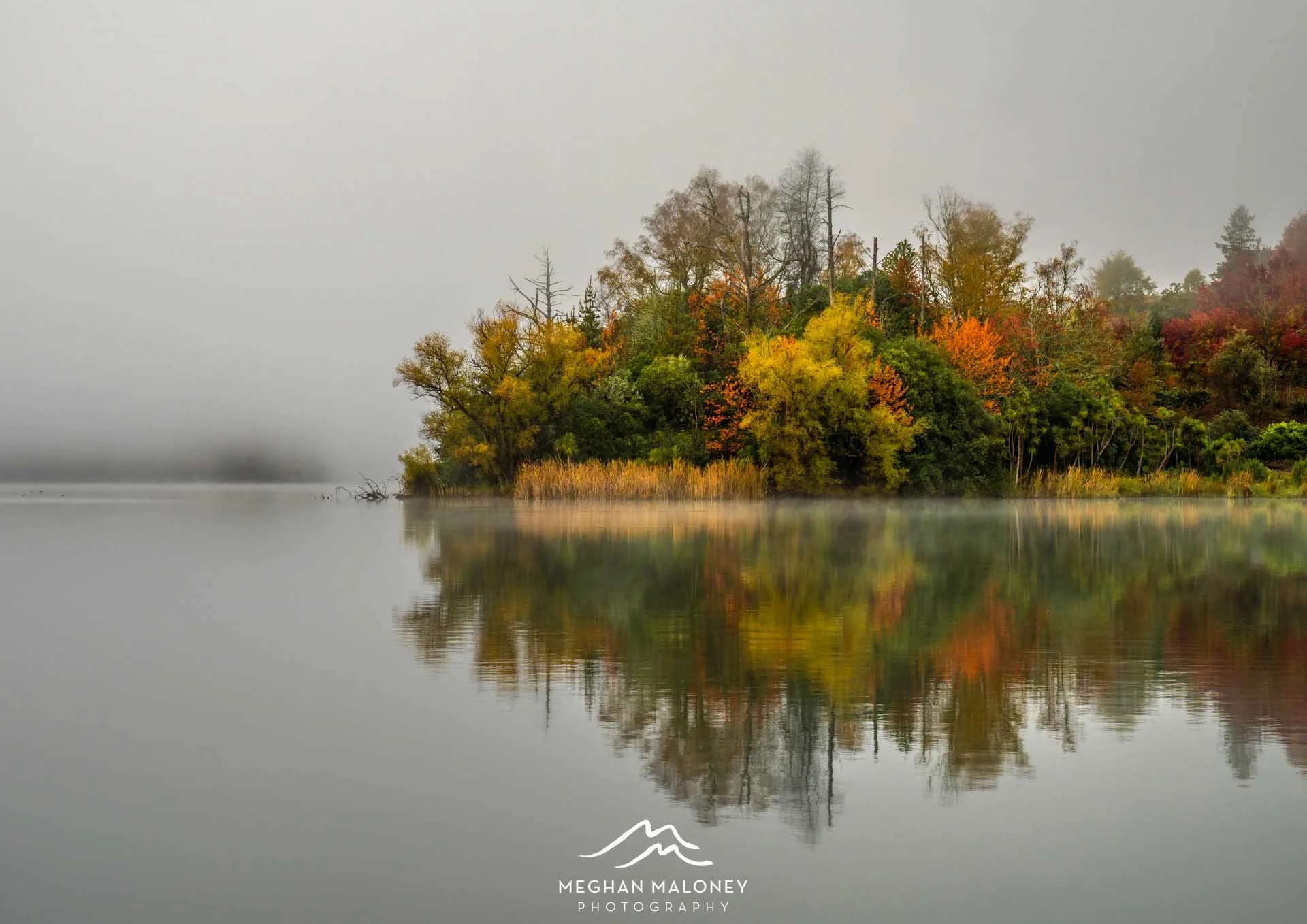 Autumn Mist Reflections Lake Tutira