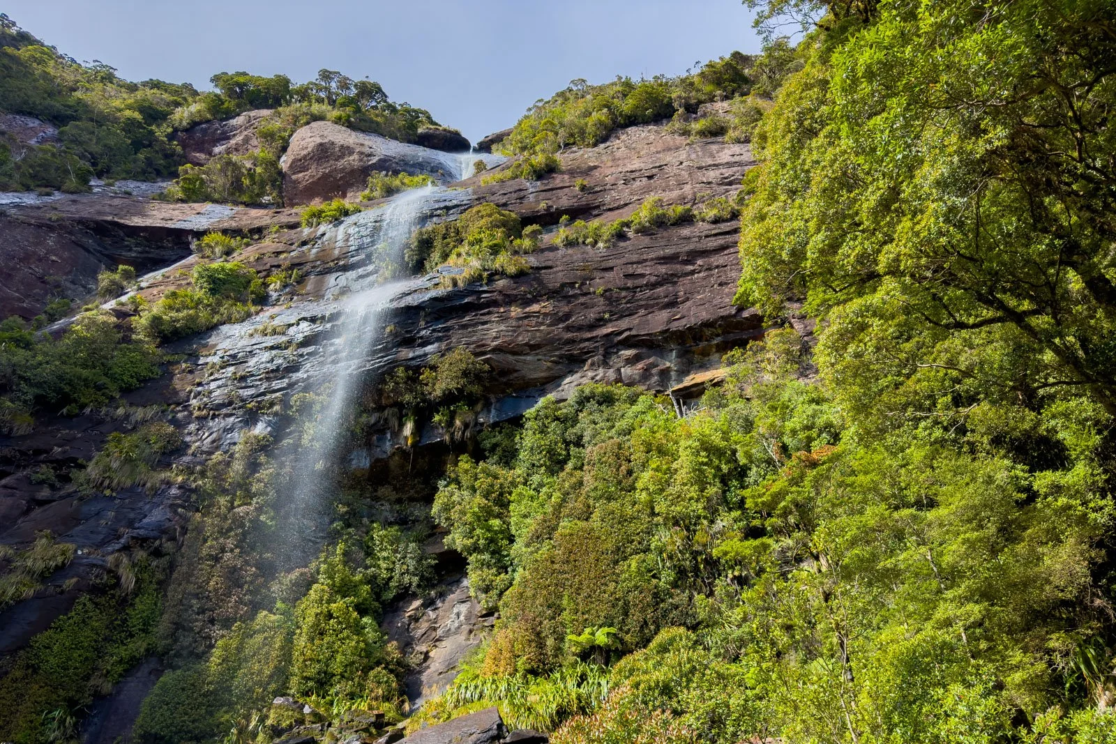 waterfall paparoa track
