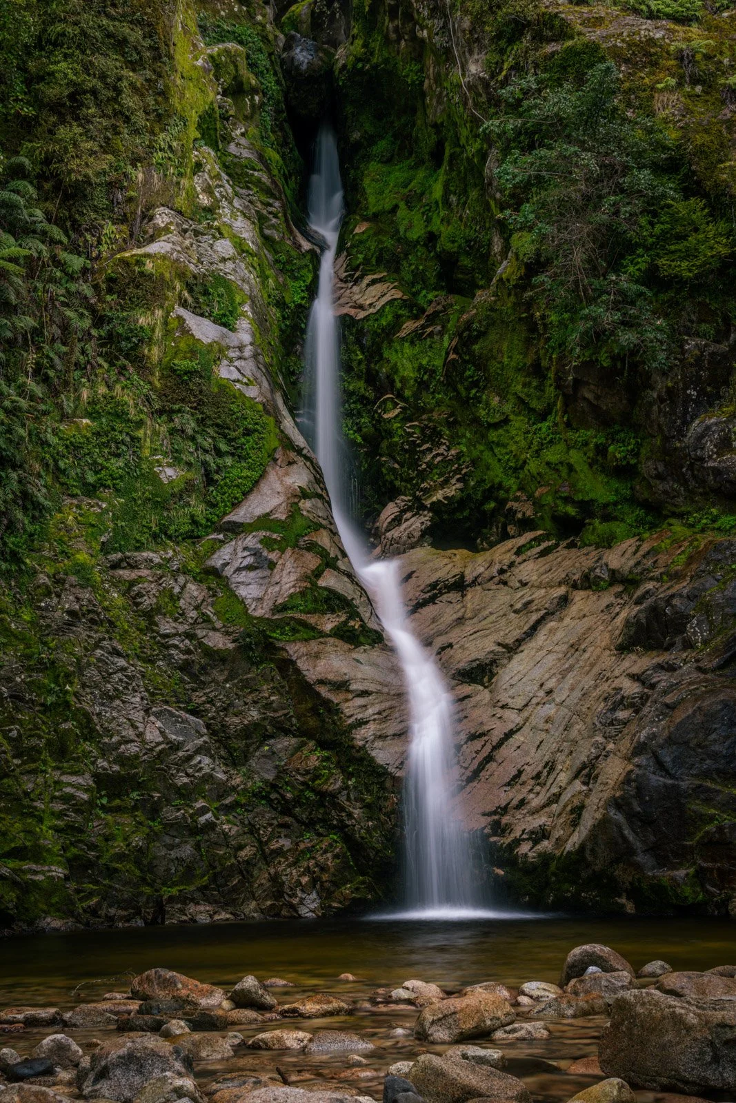 _DSC0880-Edit.jpg