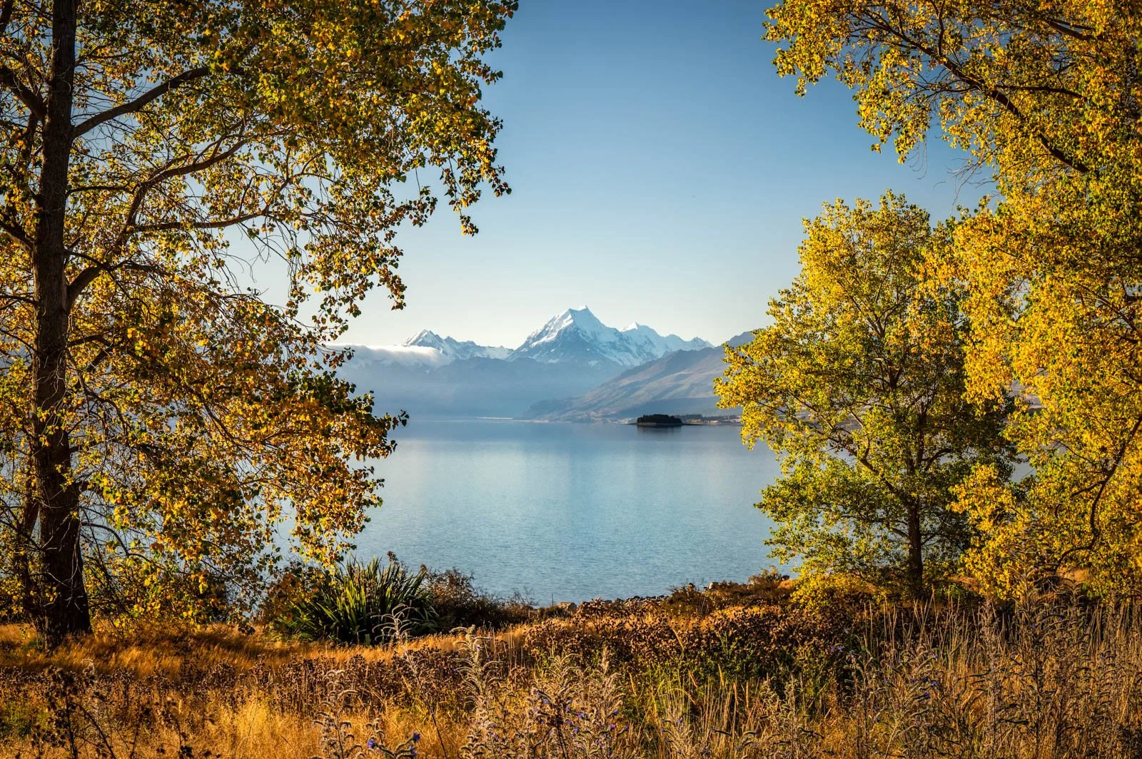 2027 NZ Autumn Photography Workshop