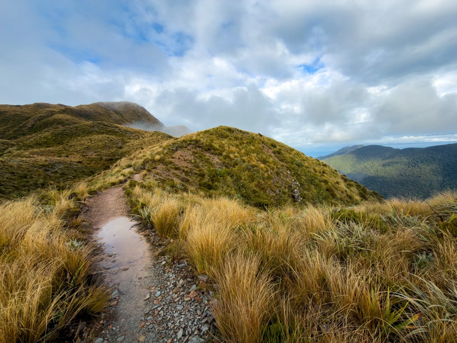 paparoa track views day 2