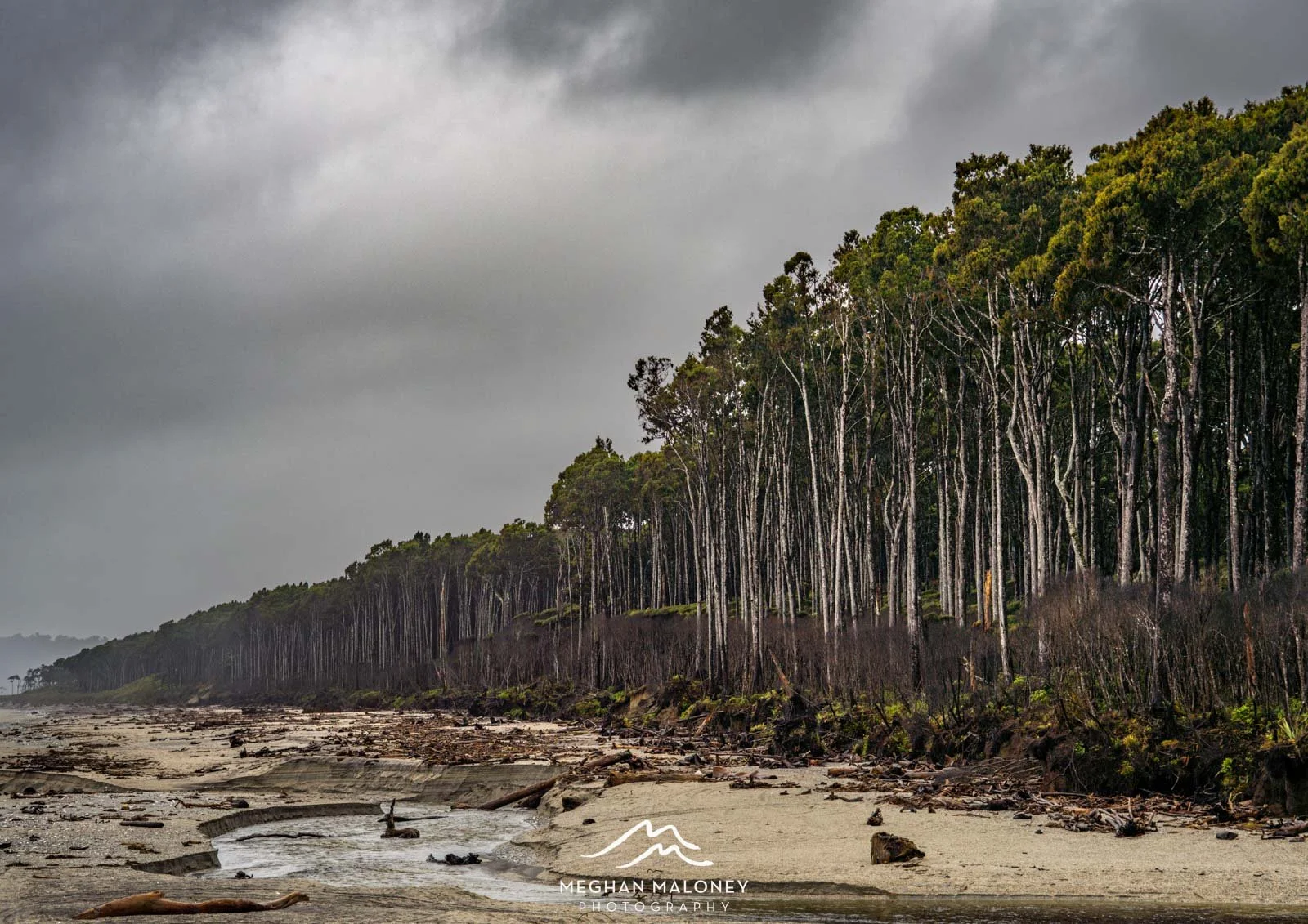 Bruce Bay Beach Mood