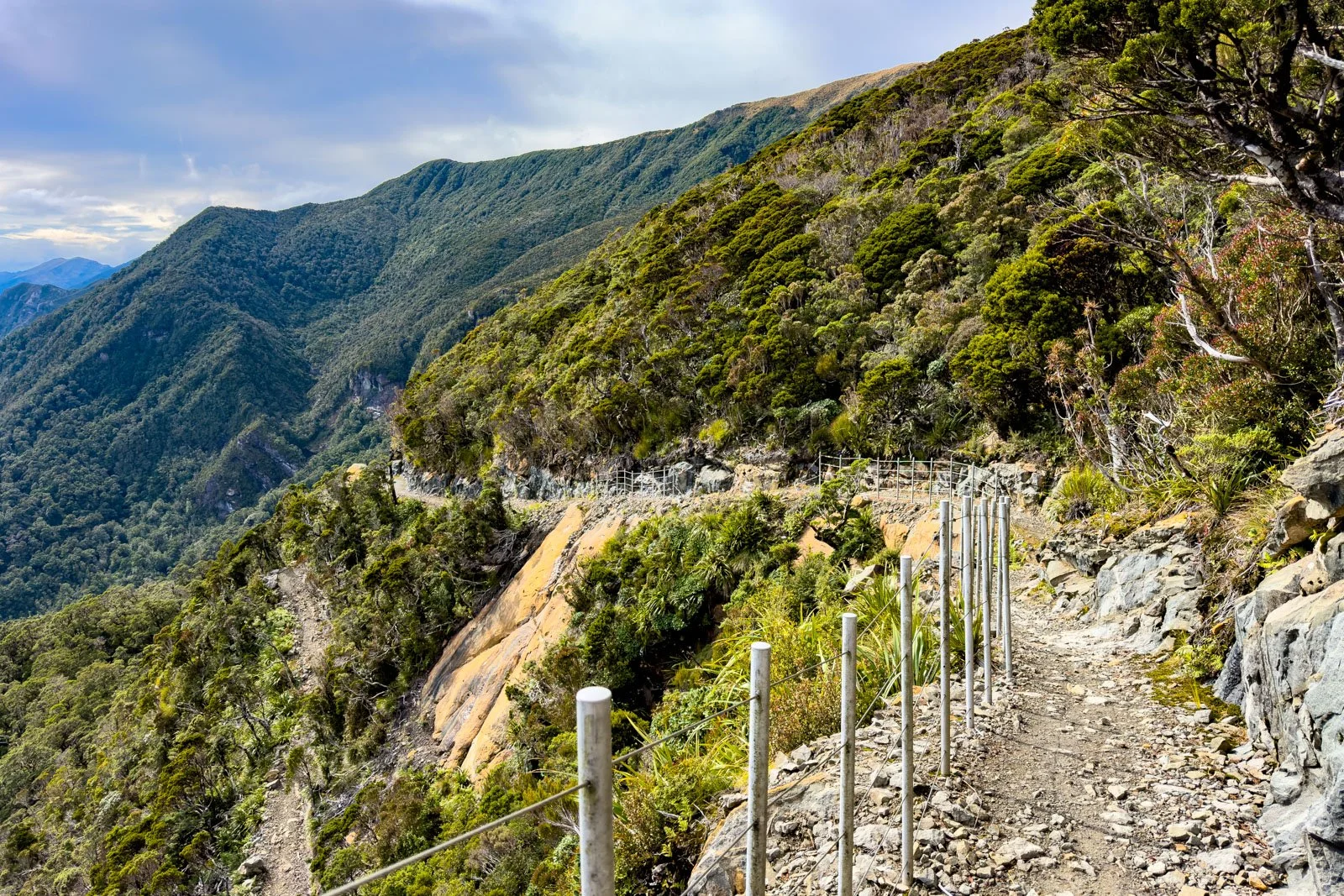 switchbacks day 3 paparoa track