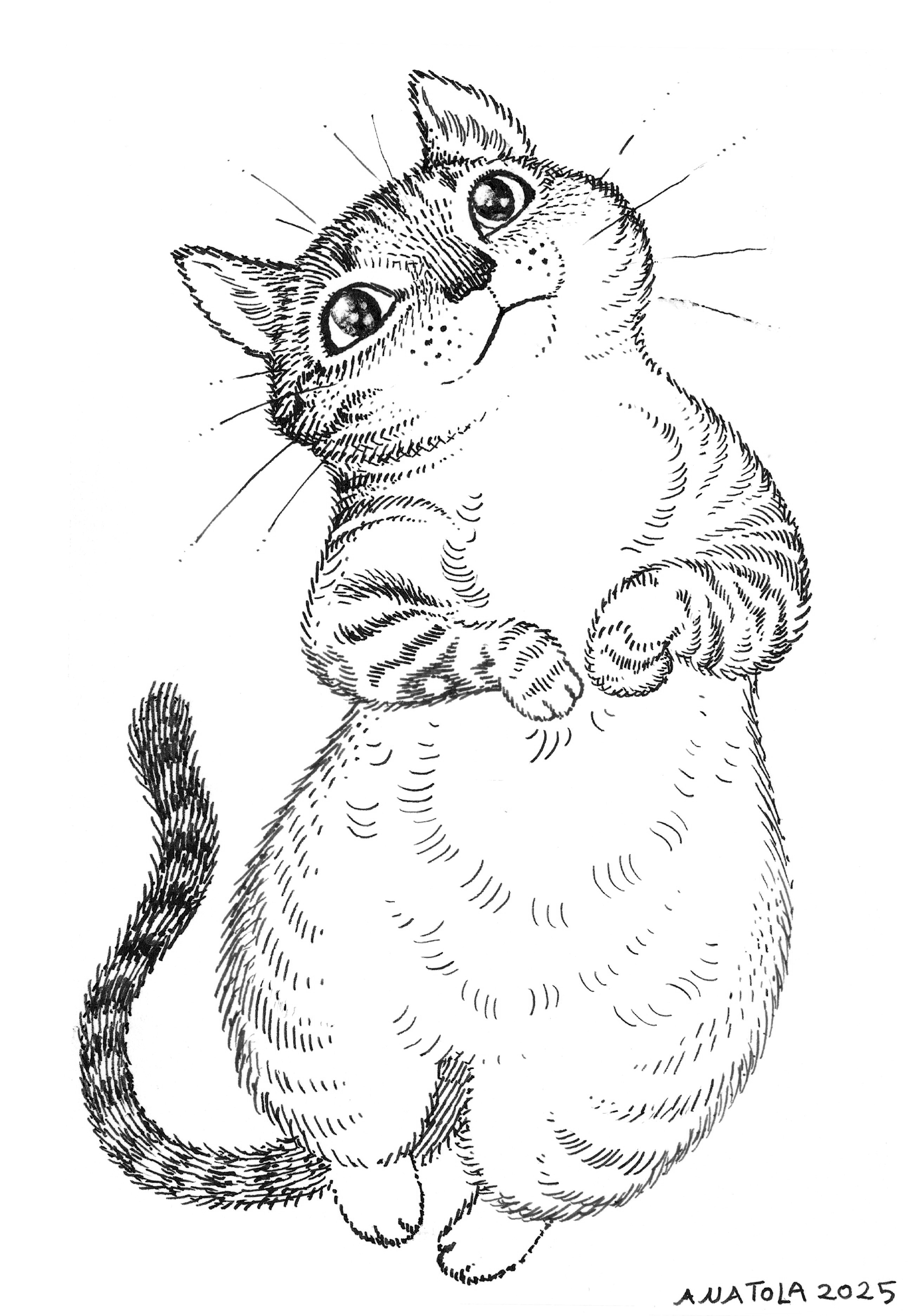 luna.png
