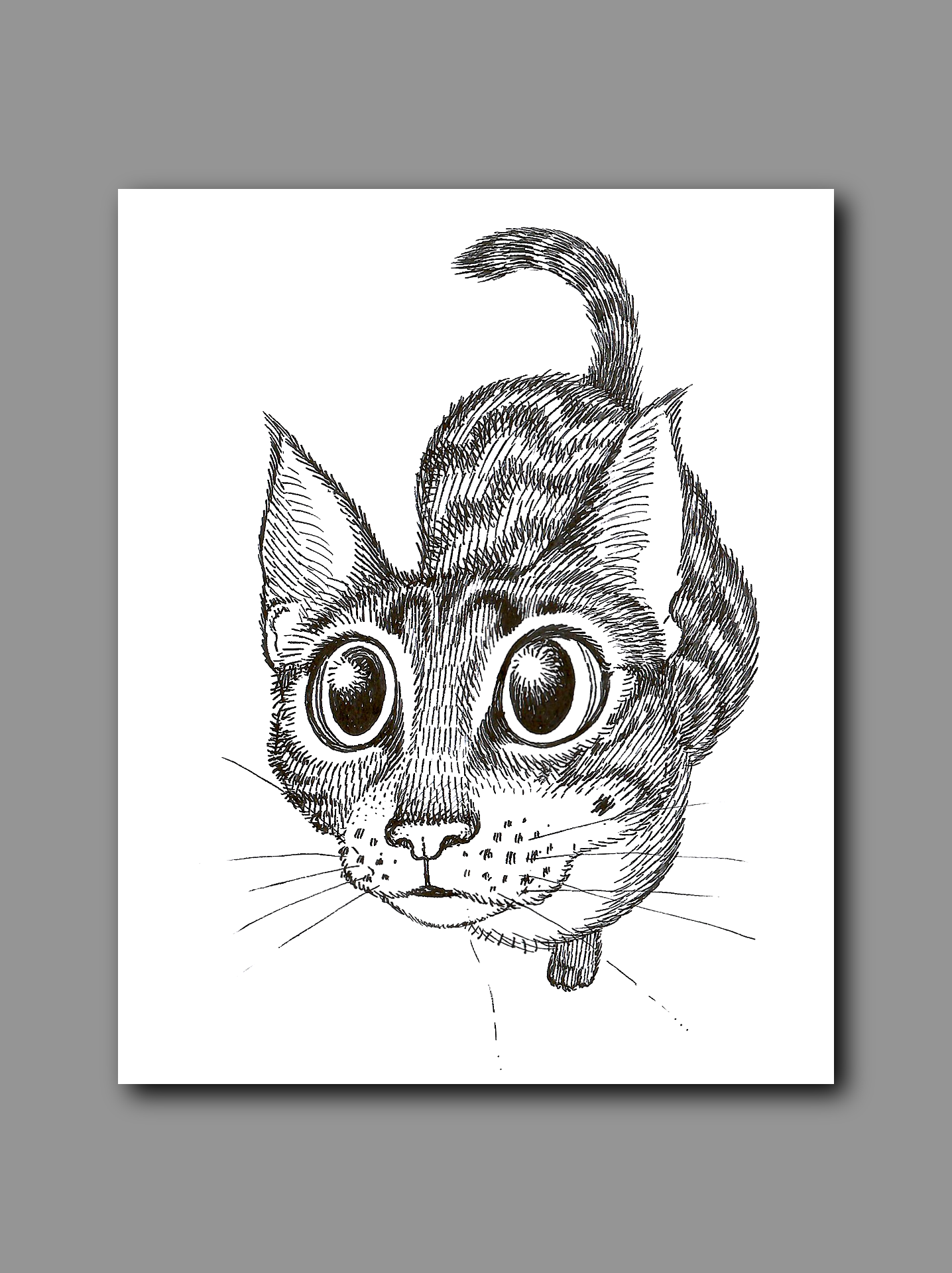 custom cat.png