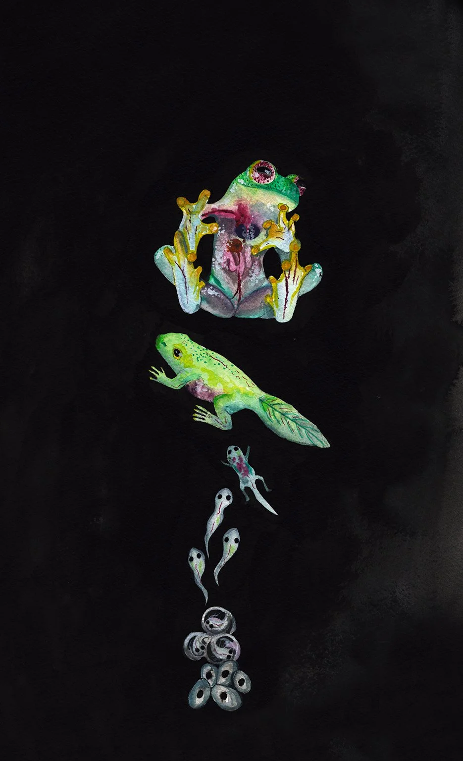 "Metamorphoses",  8.5X12.5", Acrylic on cotton paper, 2025