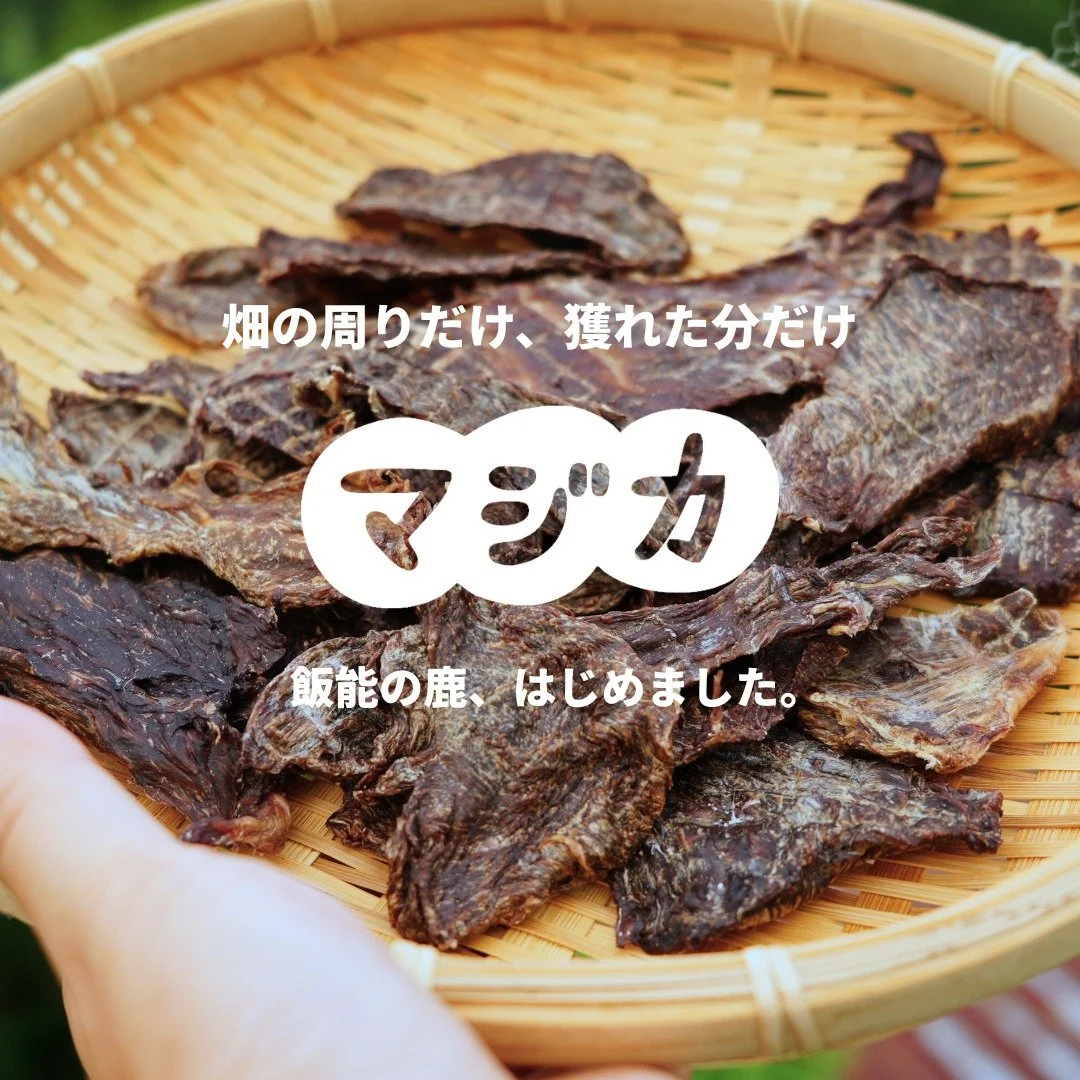 🦌🦌🦌
はじめまして、「マジカ」です。
埼玉県飯能市で、野生動物と人の暮らしを守るための有害鳥獣対策から生まれたおやつブランドです。
飯能周辺の畑で捕獲された鹿の命を、無駄にしない。
「どこで、誰が、どうやって」作ったかがわかる、顔の見えるおやつです。
里山の恵みを、おすそわけ。
これから、どうぞよろしくお願いします🙌
#マジカ #Majika #犬のおやつ #ジビエ #鹿ジャーキー #有害鳥獣対策 #狩猟 #わな猟 #飯能 #飯能市 #wandaway #愛犬との暮らし
