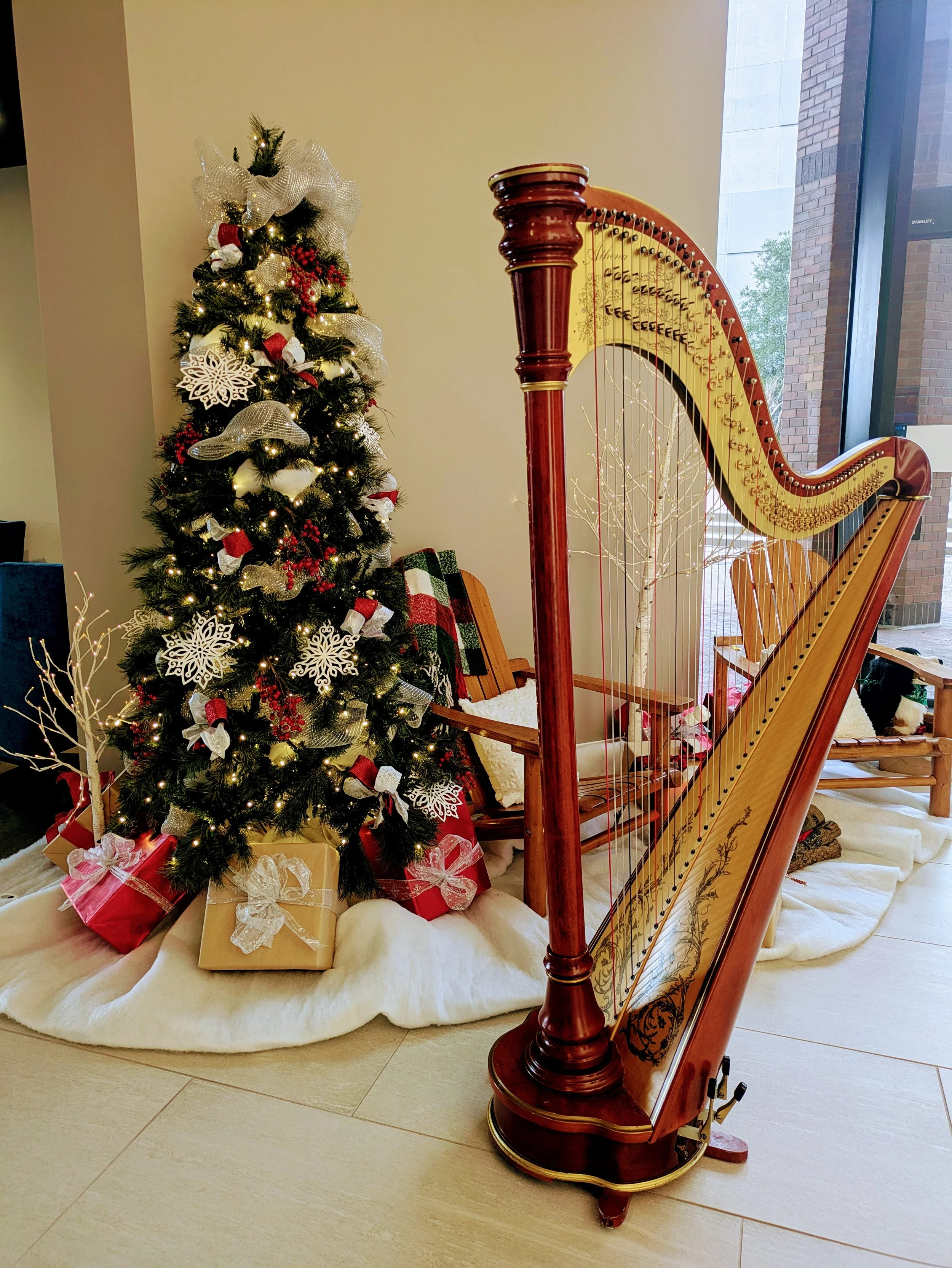 Bay Area harpist Sonia's harp next to a lit up Christmas tree. 