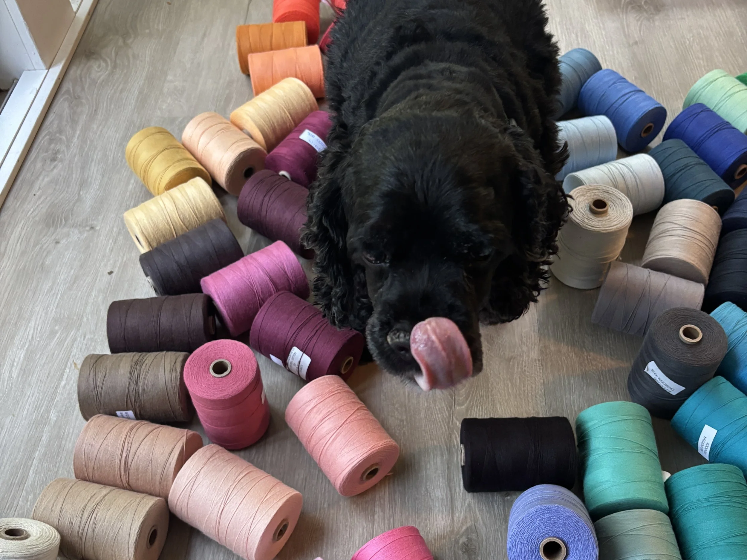 Your First Weaving Project