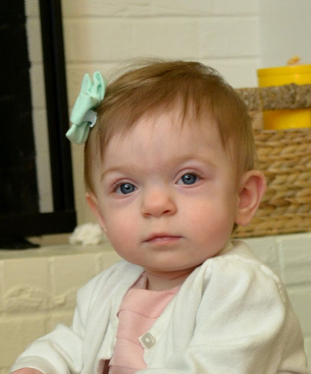 DSC_0112.jpg