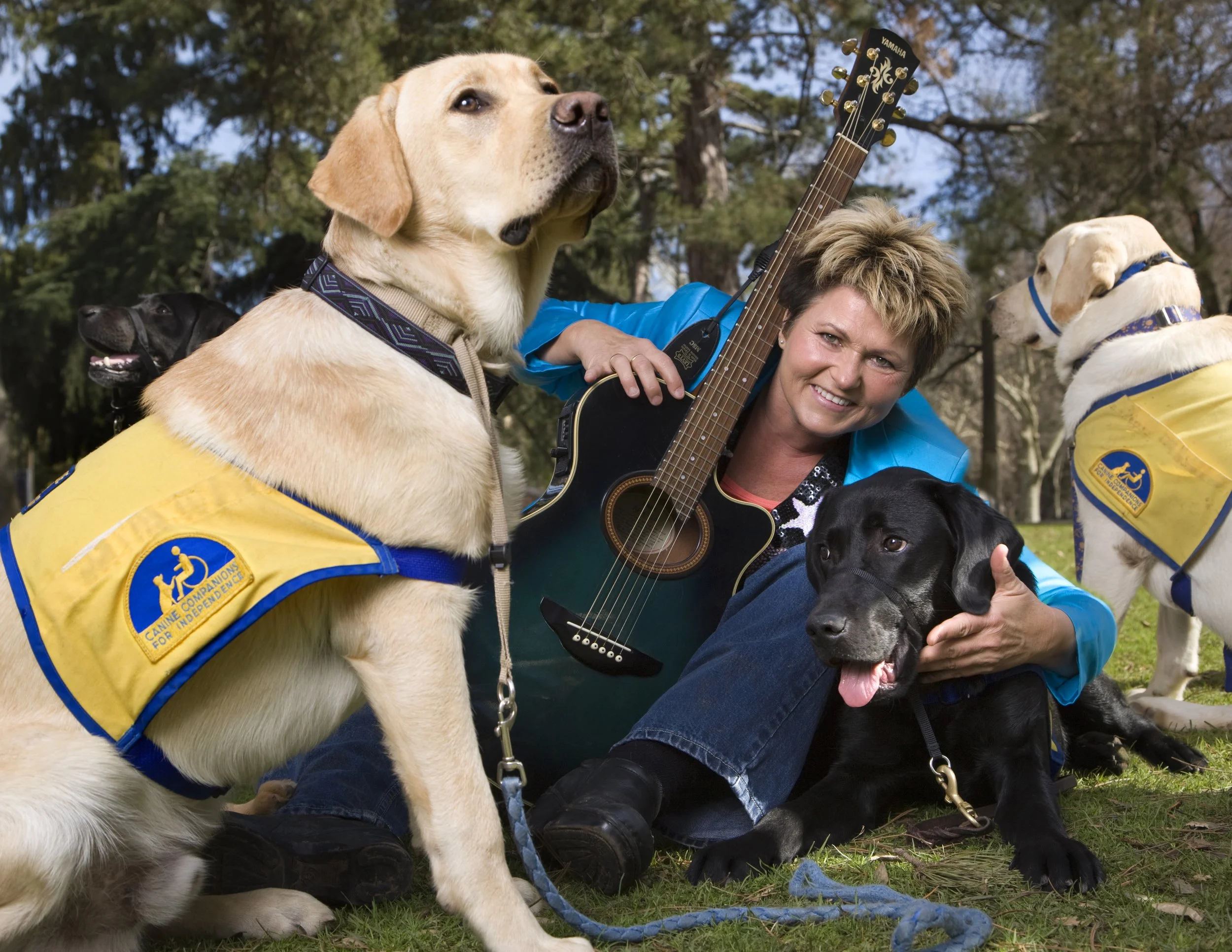 Fun photo shoot supportive service dogs. 

