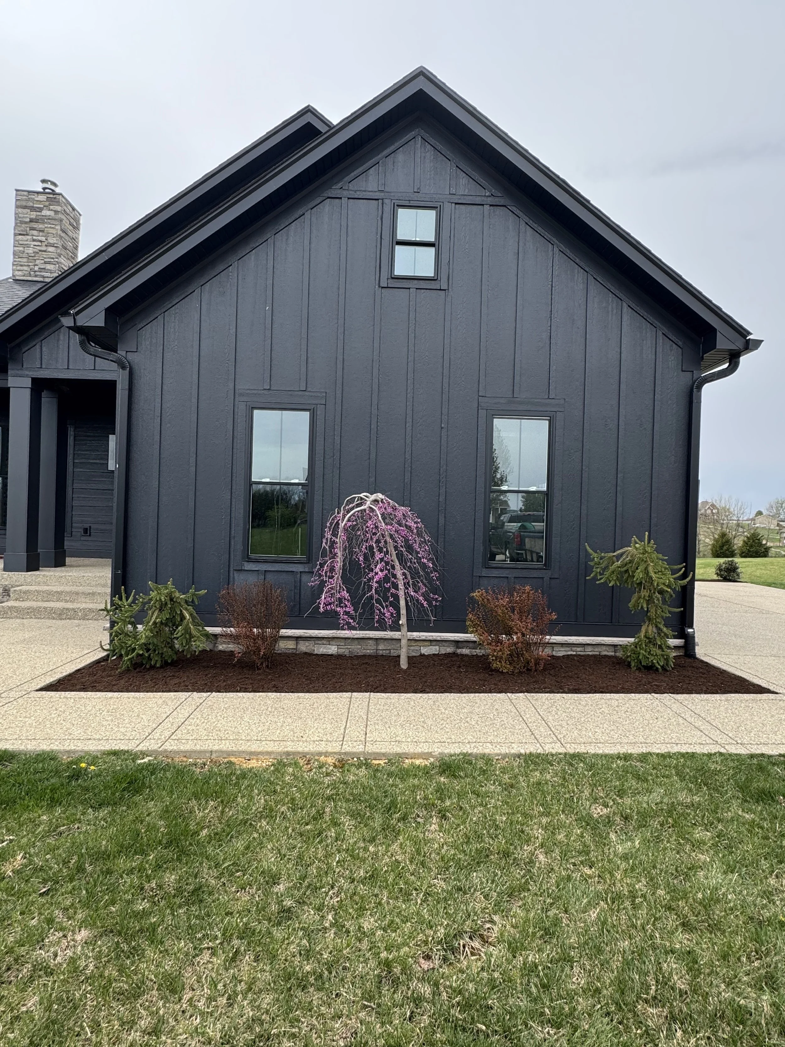 Modern black house exterior with board and batten siding, featuring three narrow windows and minimal landscaping with small bushes and a flowering tree.