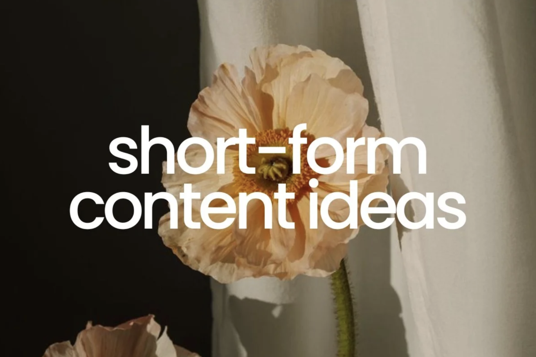 5 evergreen short-form content ideas