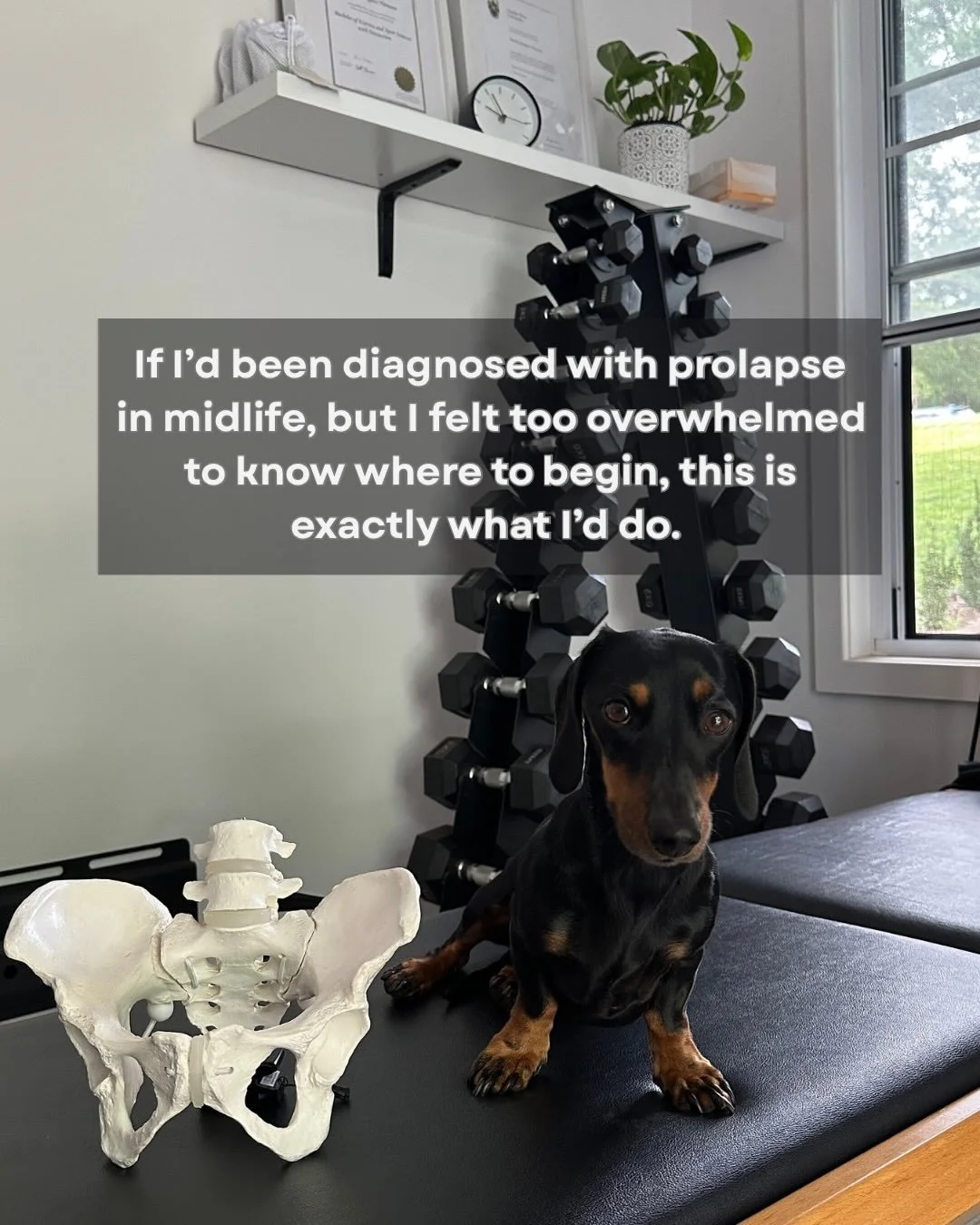 This is everything I would do, and in fact exactly how I help midlife women with symptoms of, or a diagnosis of prolapse.

If this is you, please don&rsquo;t feel hopeless. The body is incredible and so capable of change at any age.

If any of this h