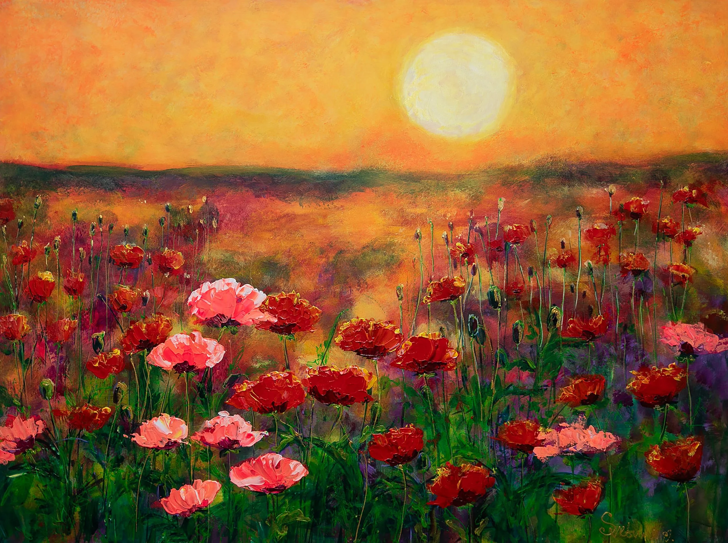 Sunset in Bloom