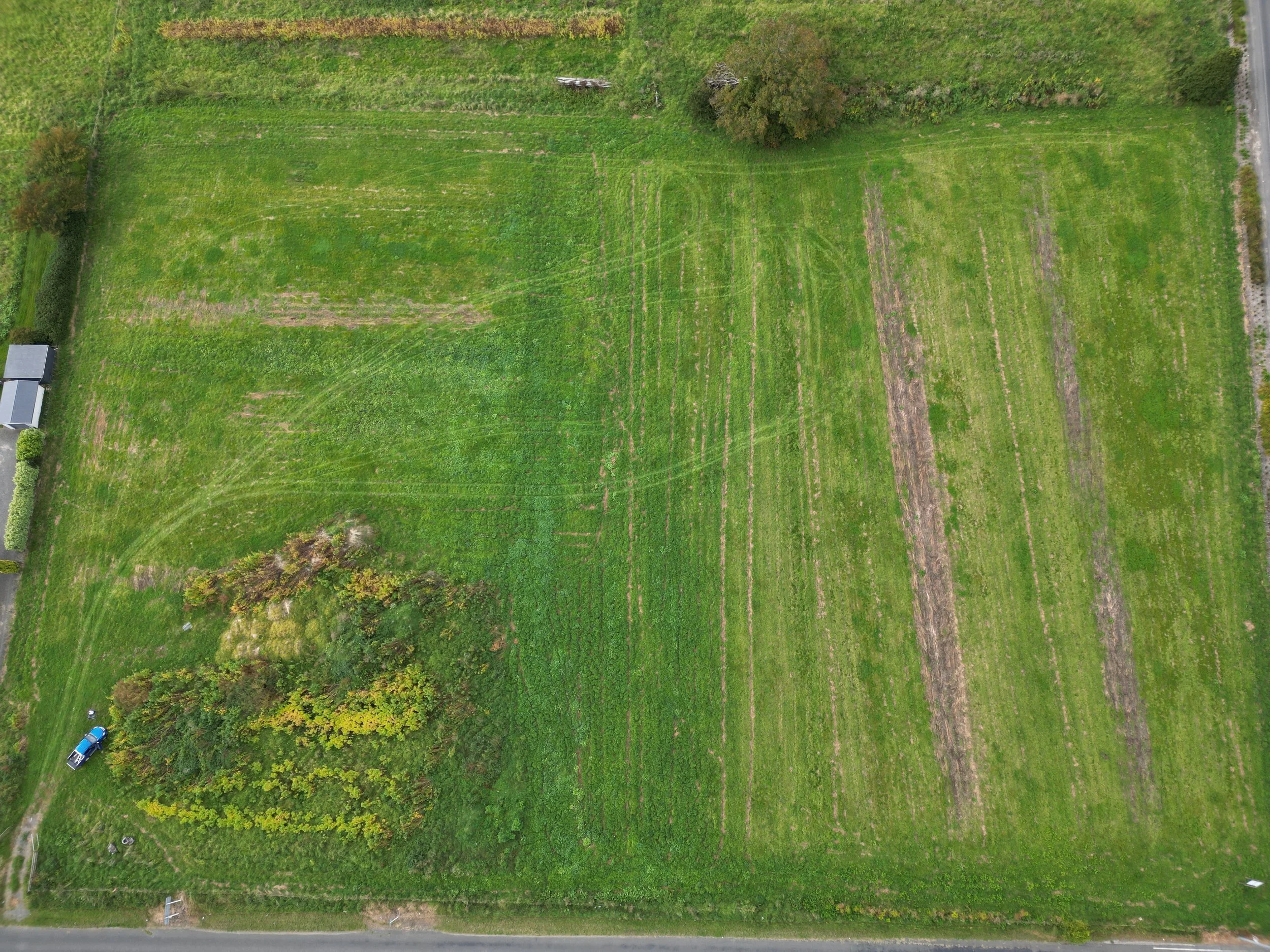 Aerial view of a grassy field with varying shades of green, patches of bare soil, and some bushes or shrubs. A small blue tractor and a pathway are visible at the bottom left corner.