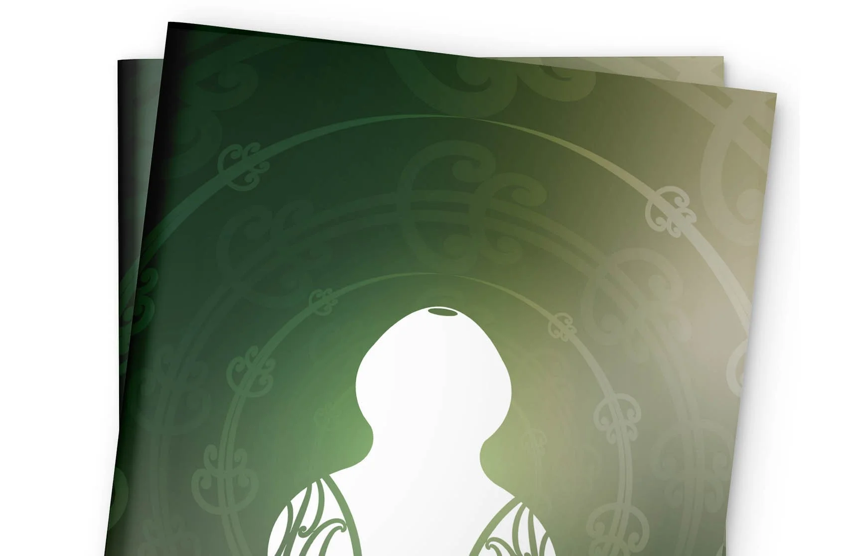 Rethinking Maternal Care for Whanganui and Beyond