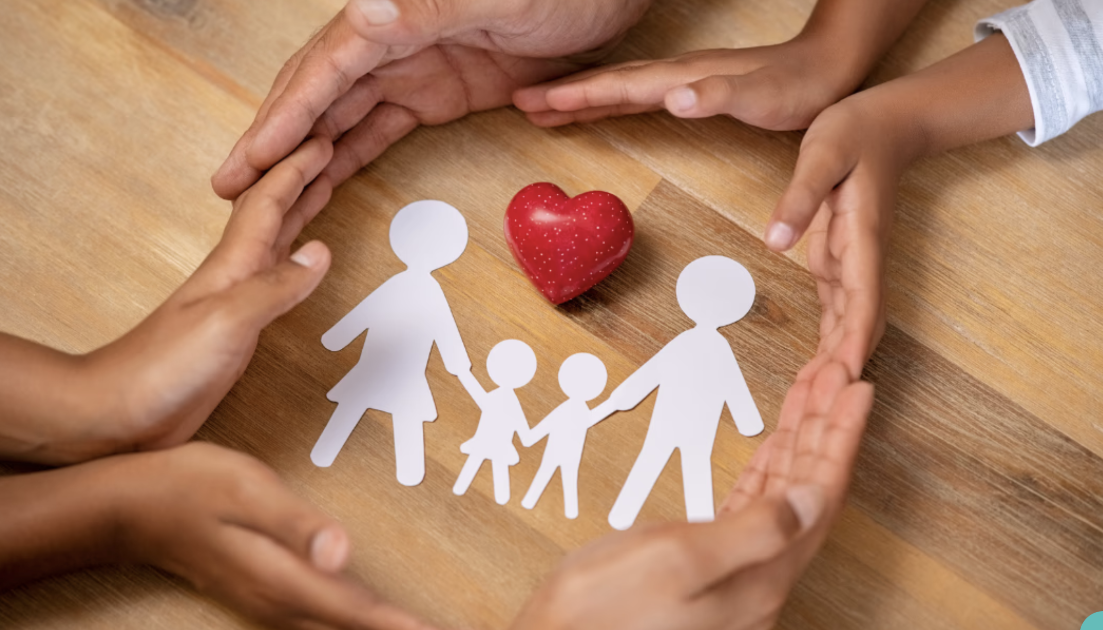 Immigration Support &amp; Legal Resources (Seattle Area)