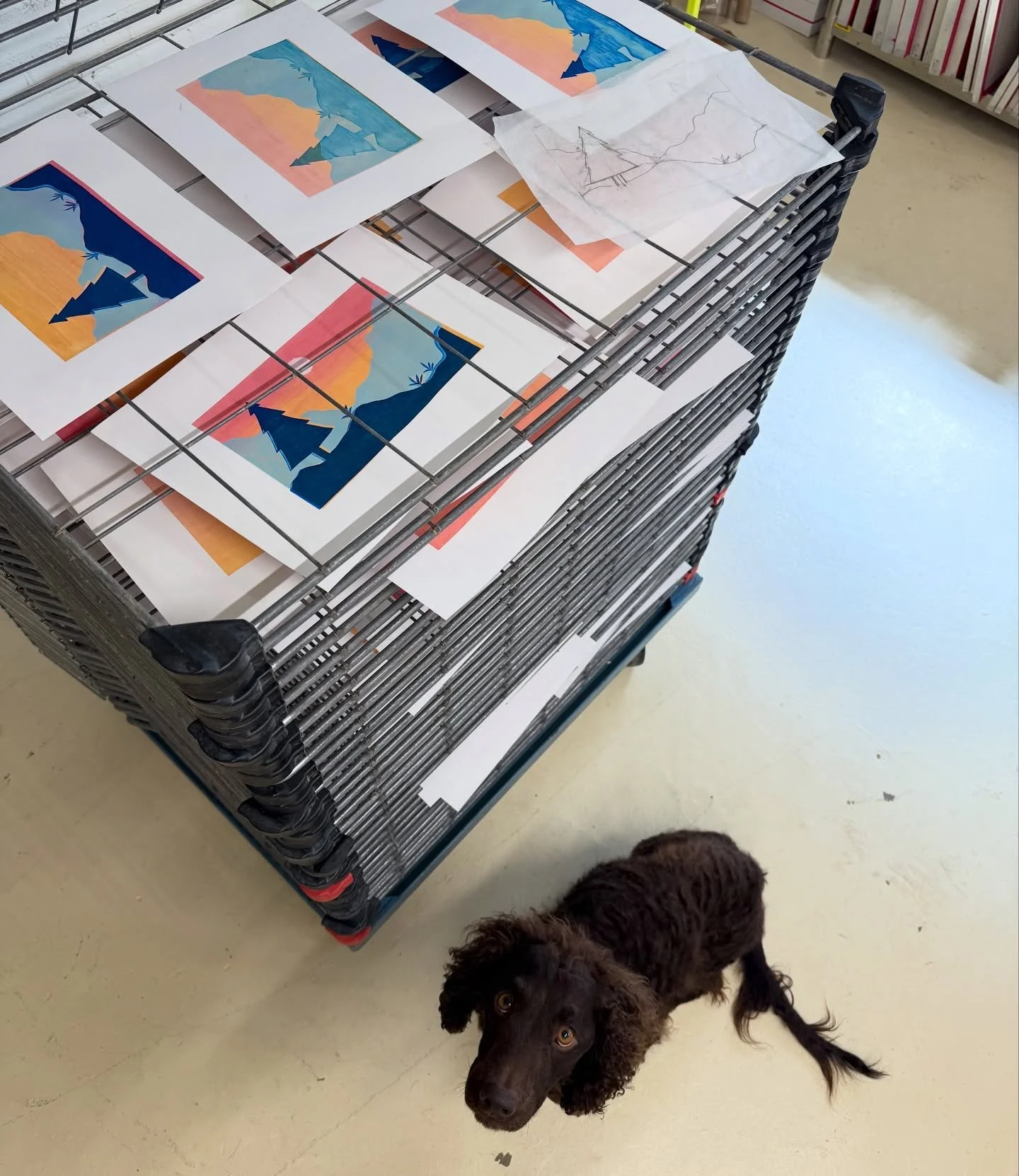 Norman says that you should come celebrate ONE YEAR of Print House with us on Saturday, May 2nd!!! And serendipitously it&rsquo;s also #printdayinmay (what a perfect mash-up)! 

To celebrate we are having a community screen printing day! Three sessio