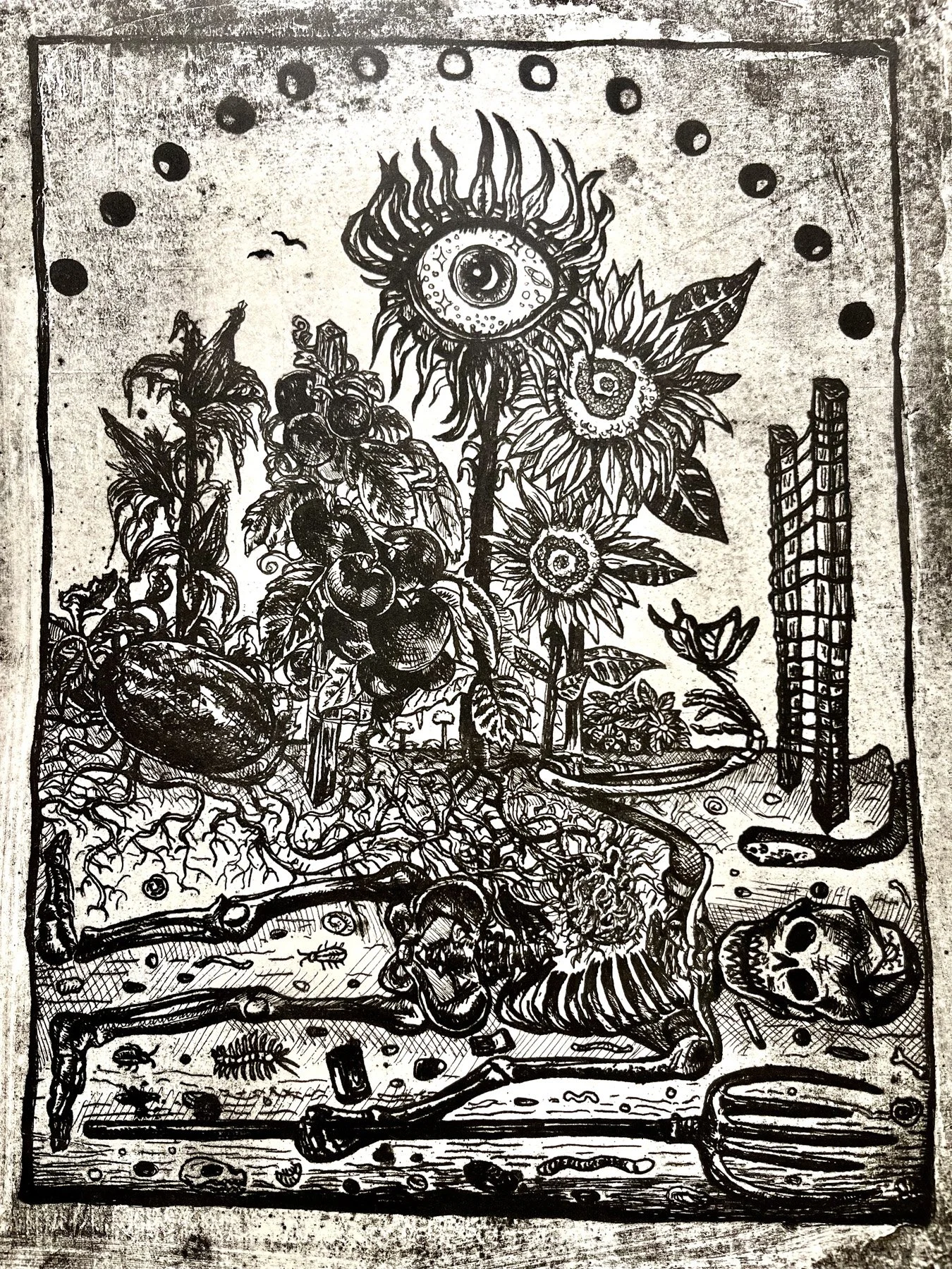 pronto_litho_2.jpg
