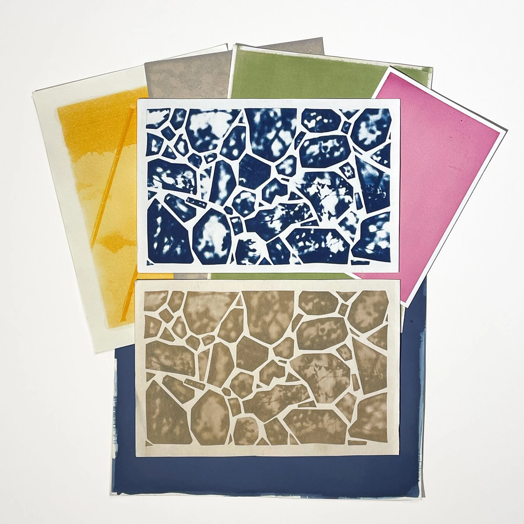 botanical toning.jpg