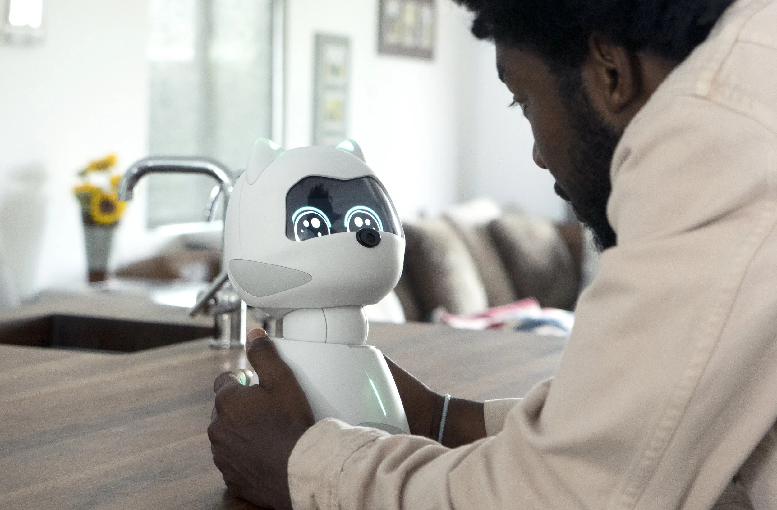 From Personal Robots to Intelligent Services