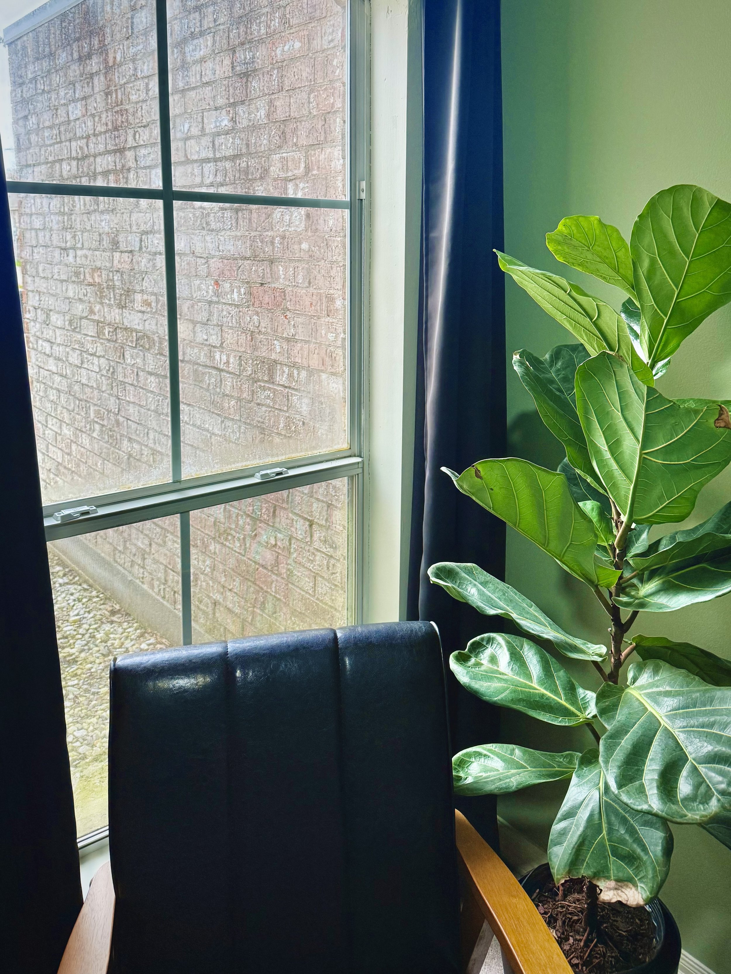 Cleaning Out My Closet